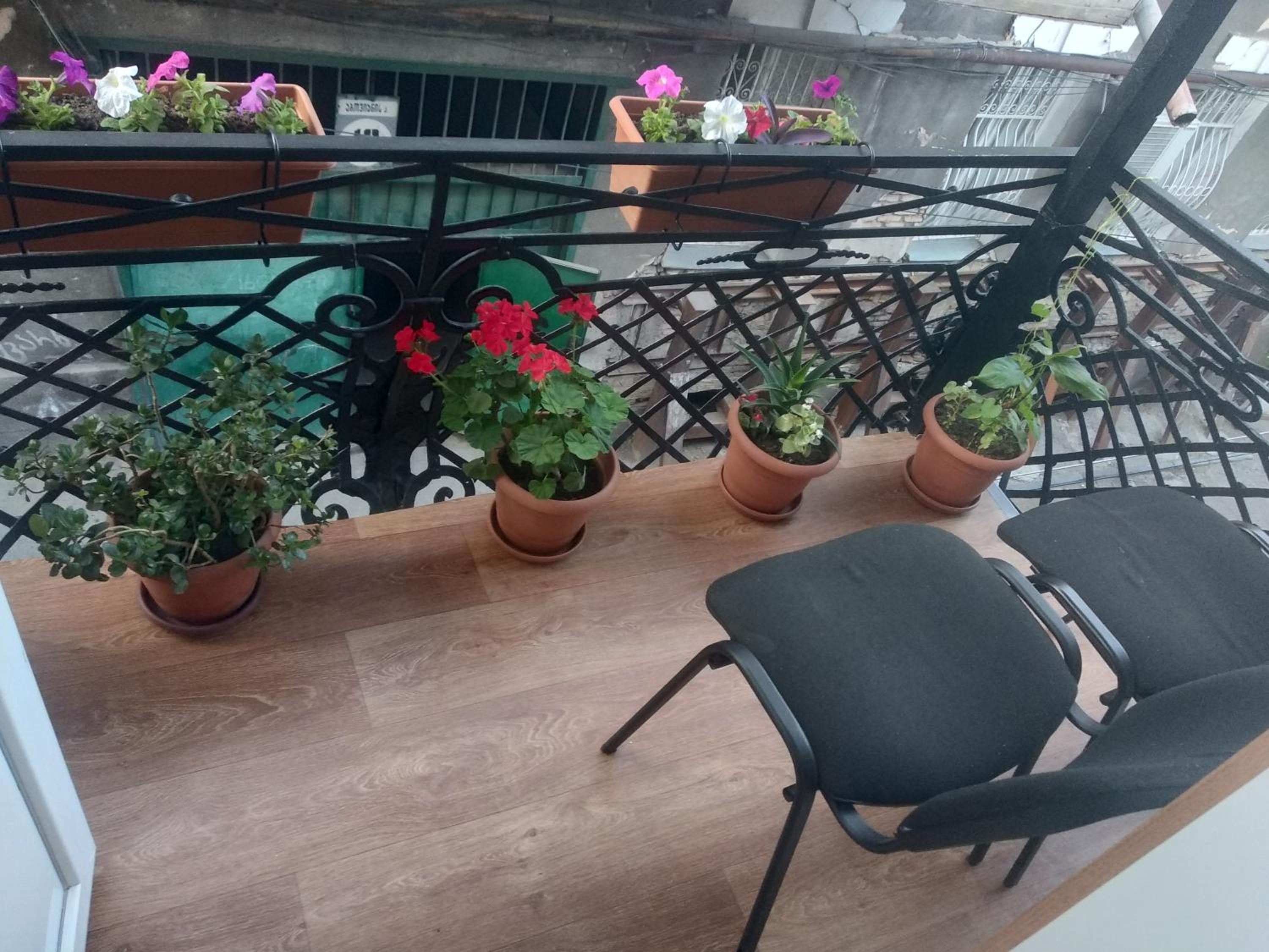 balance & terrace