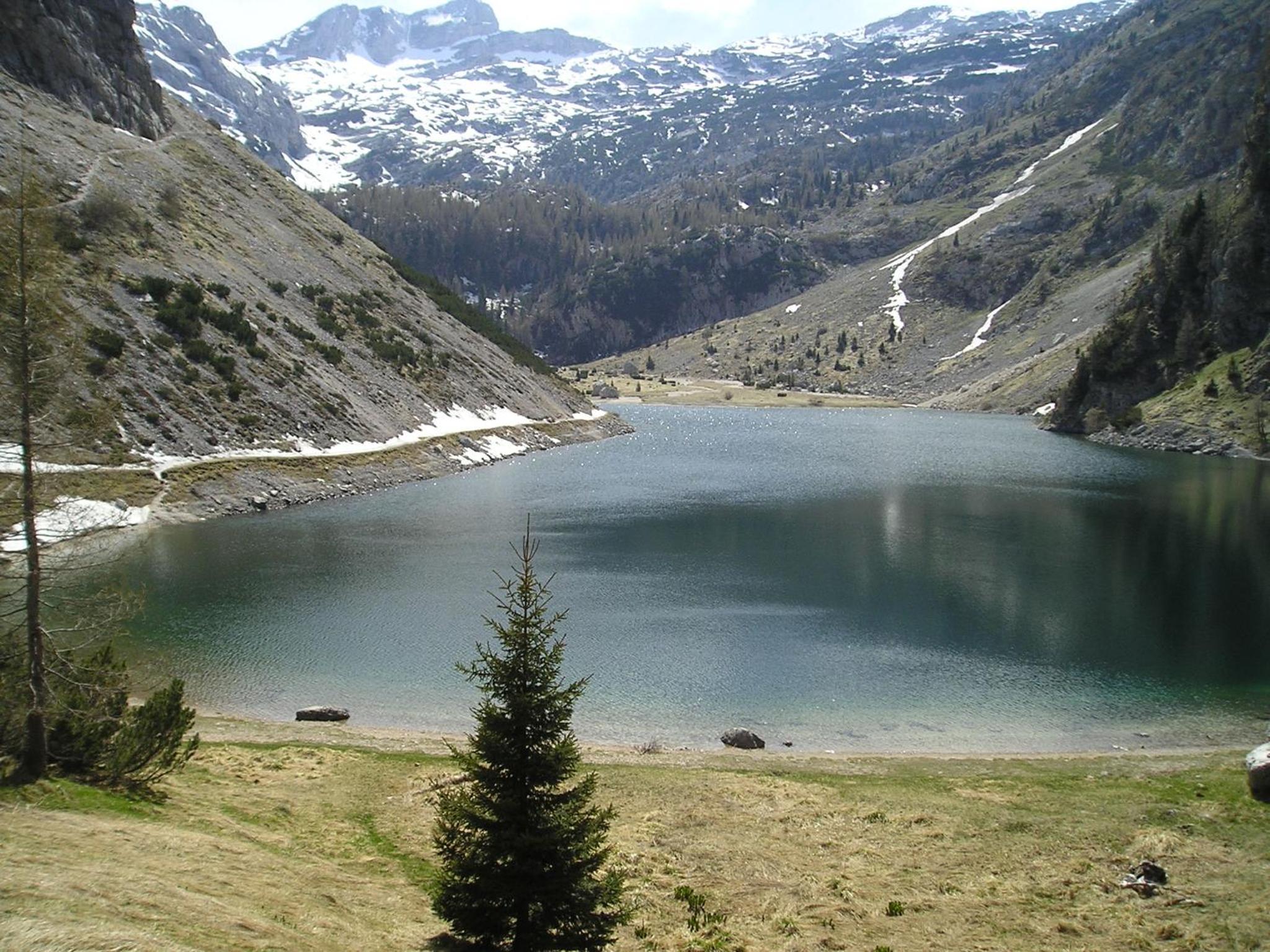 Photo 28
