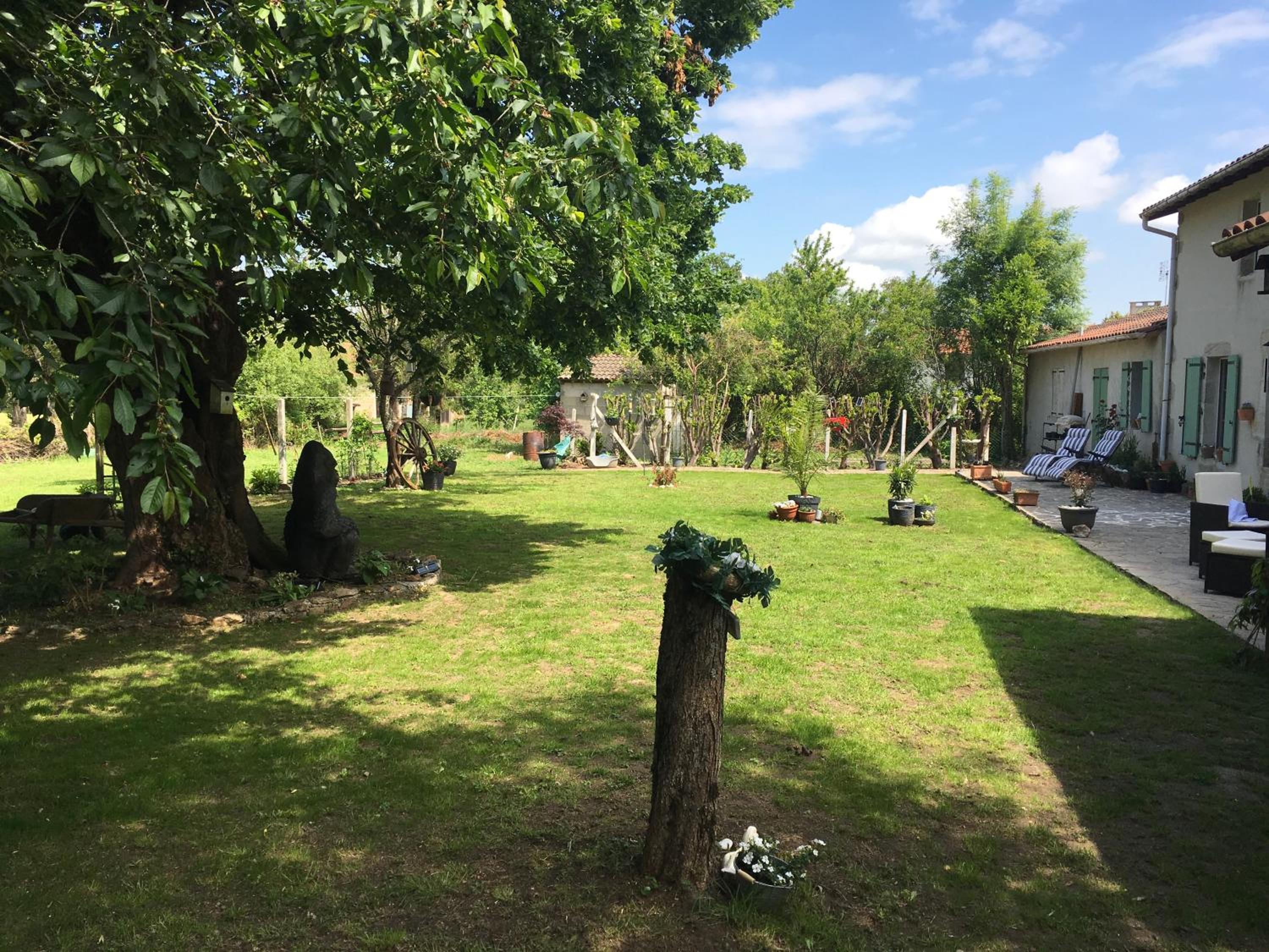 Photo 14