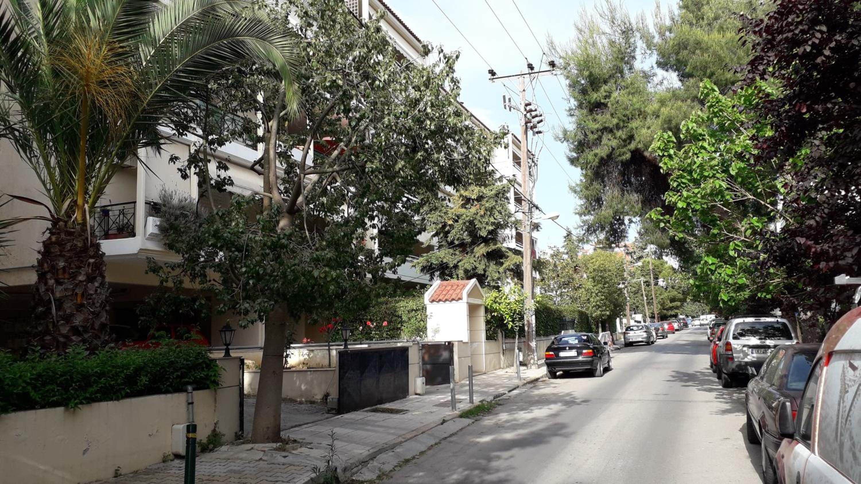 Mother's House