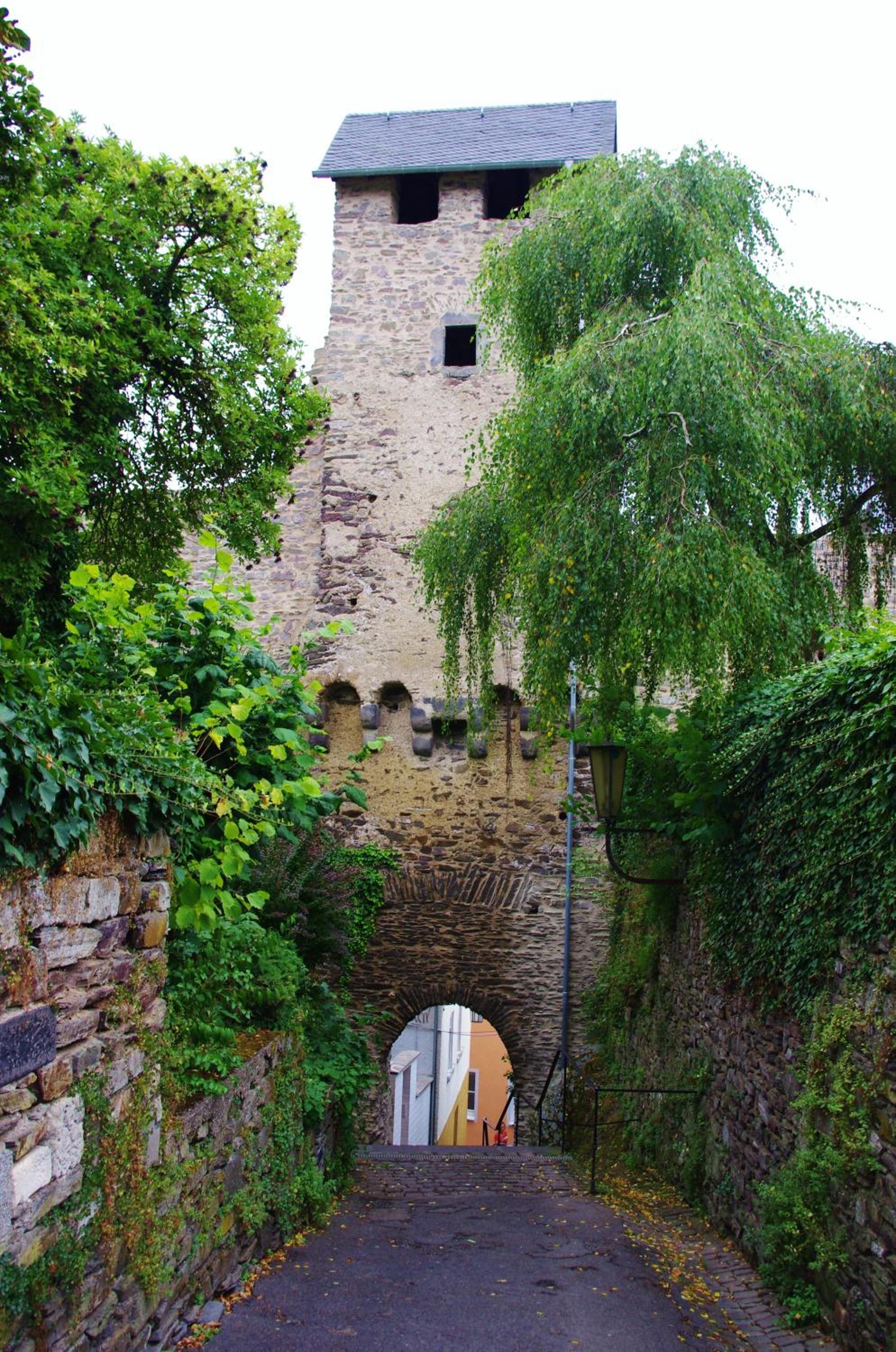 Photo 15