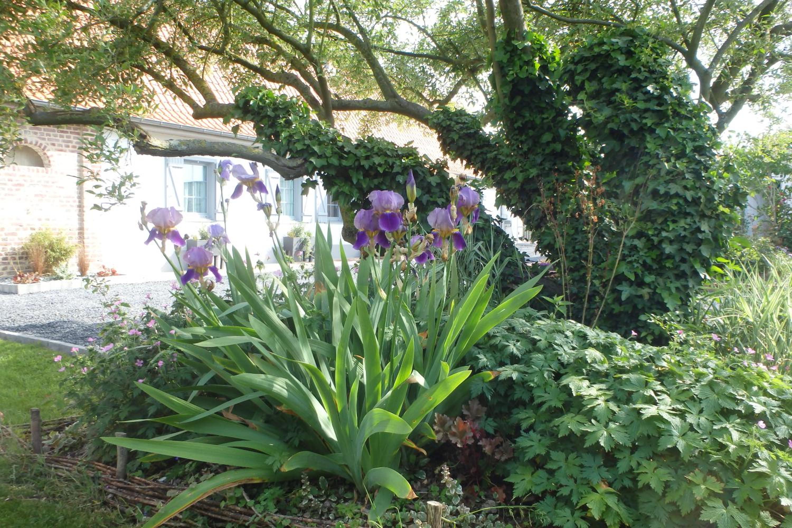 Photo 22