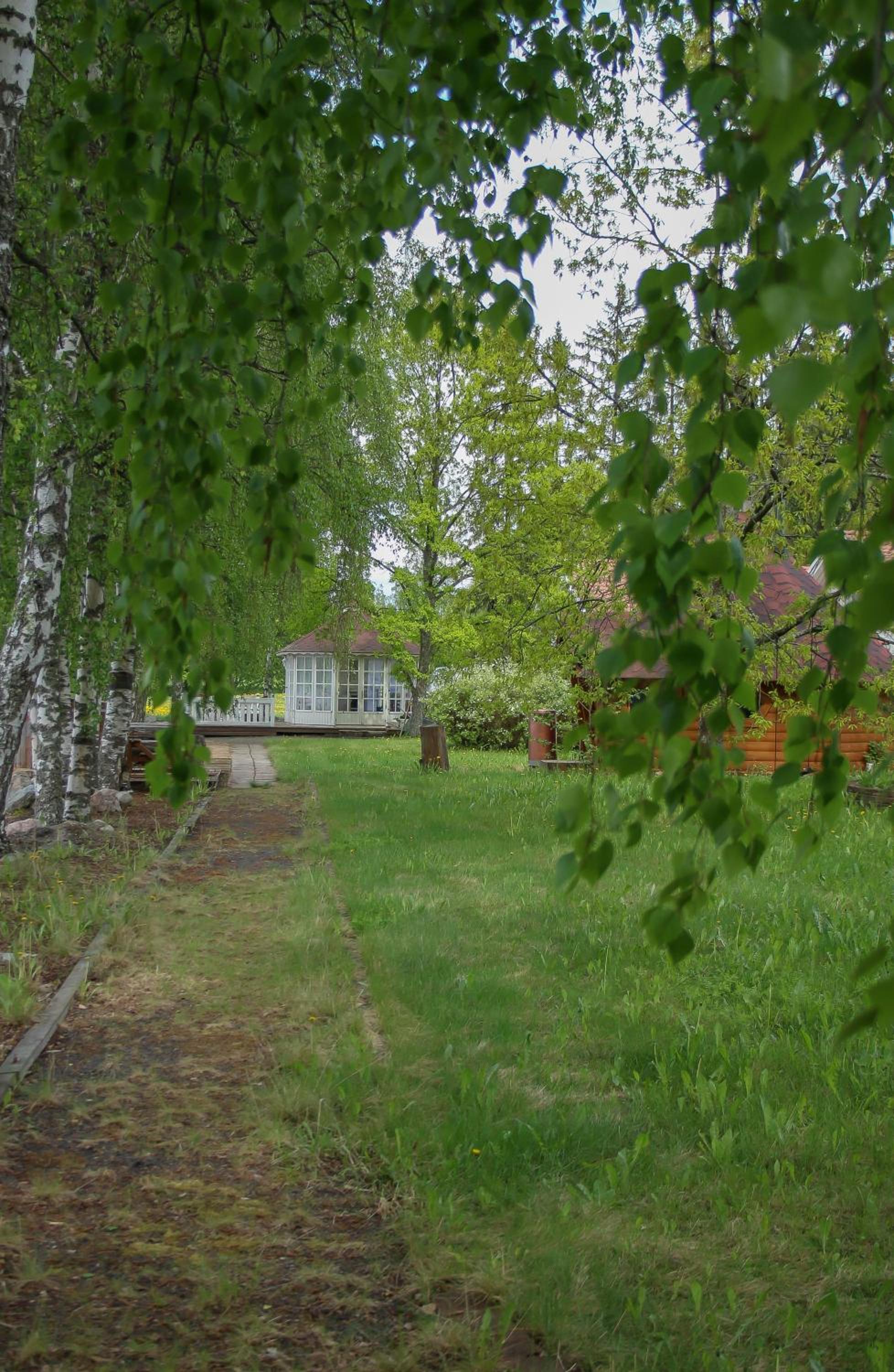 Photo 19