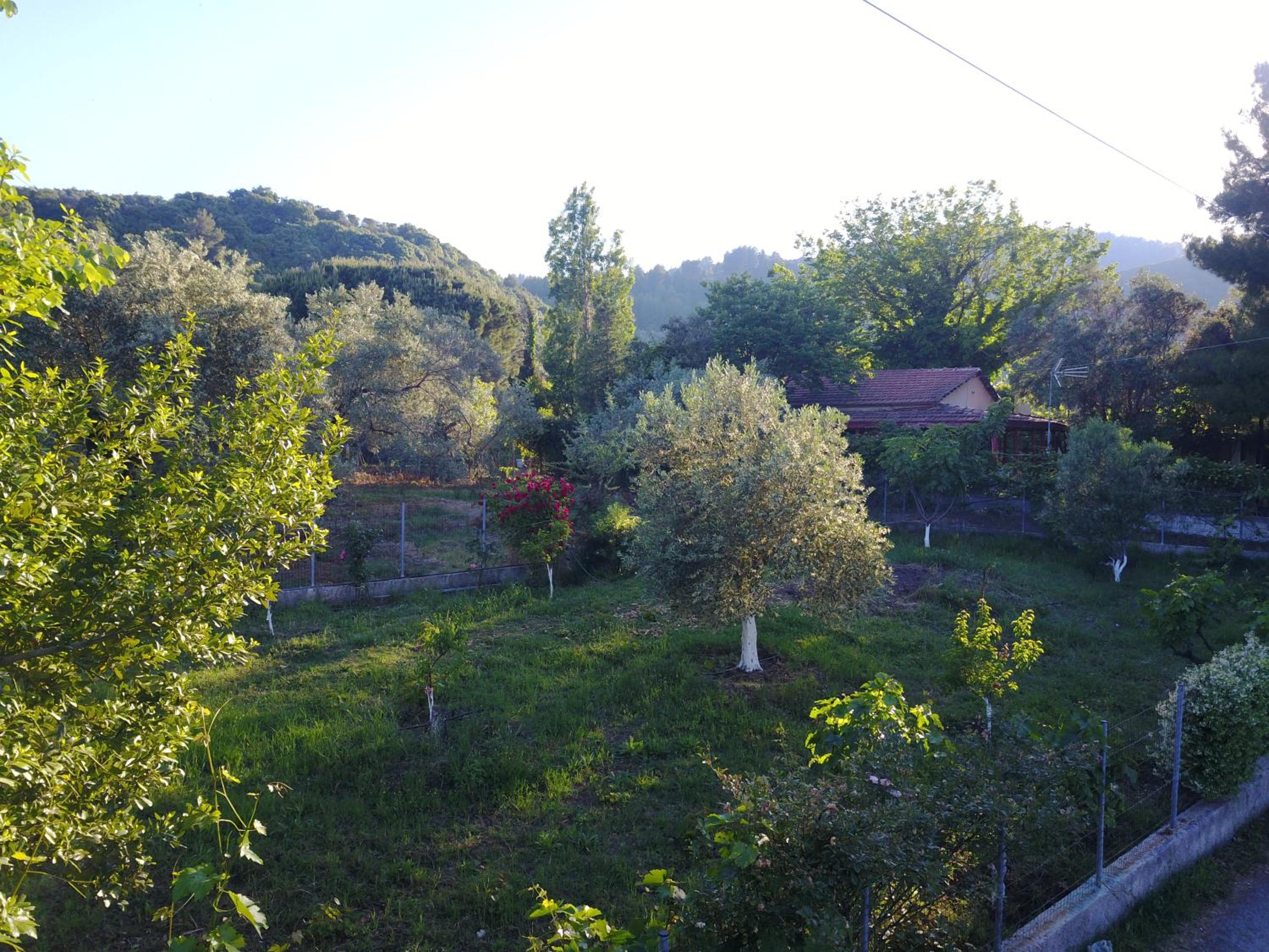 Photo 43