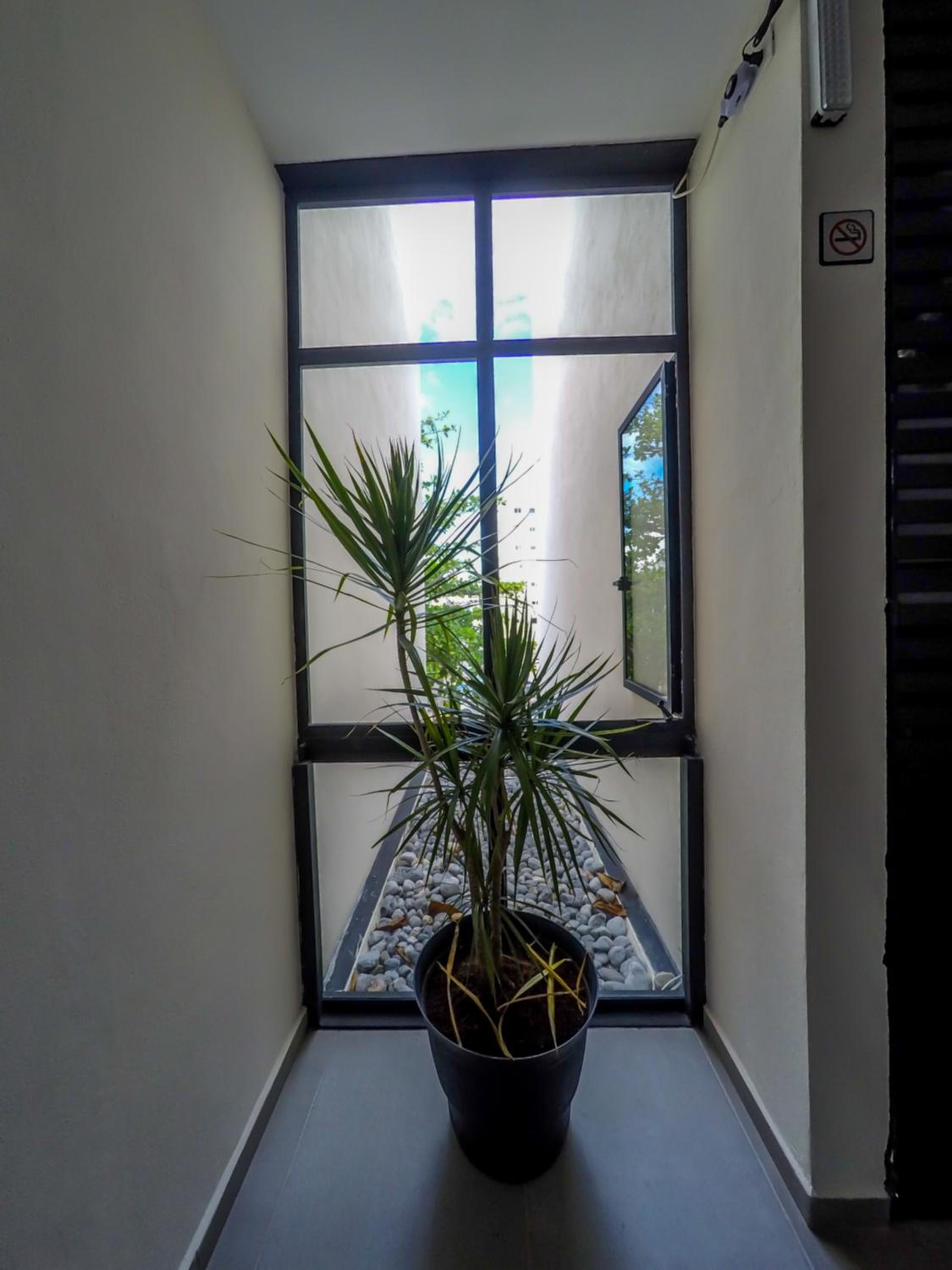 Viento Suites Cancún