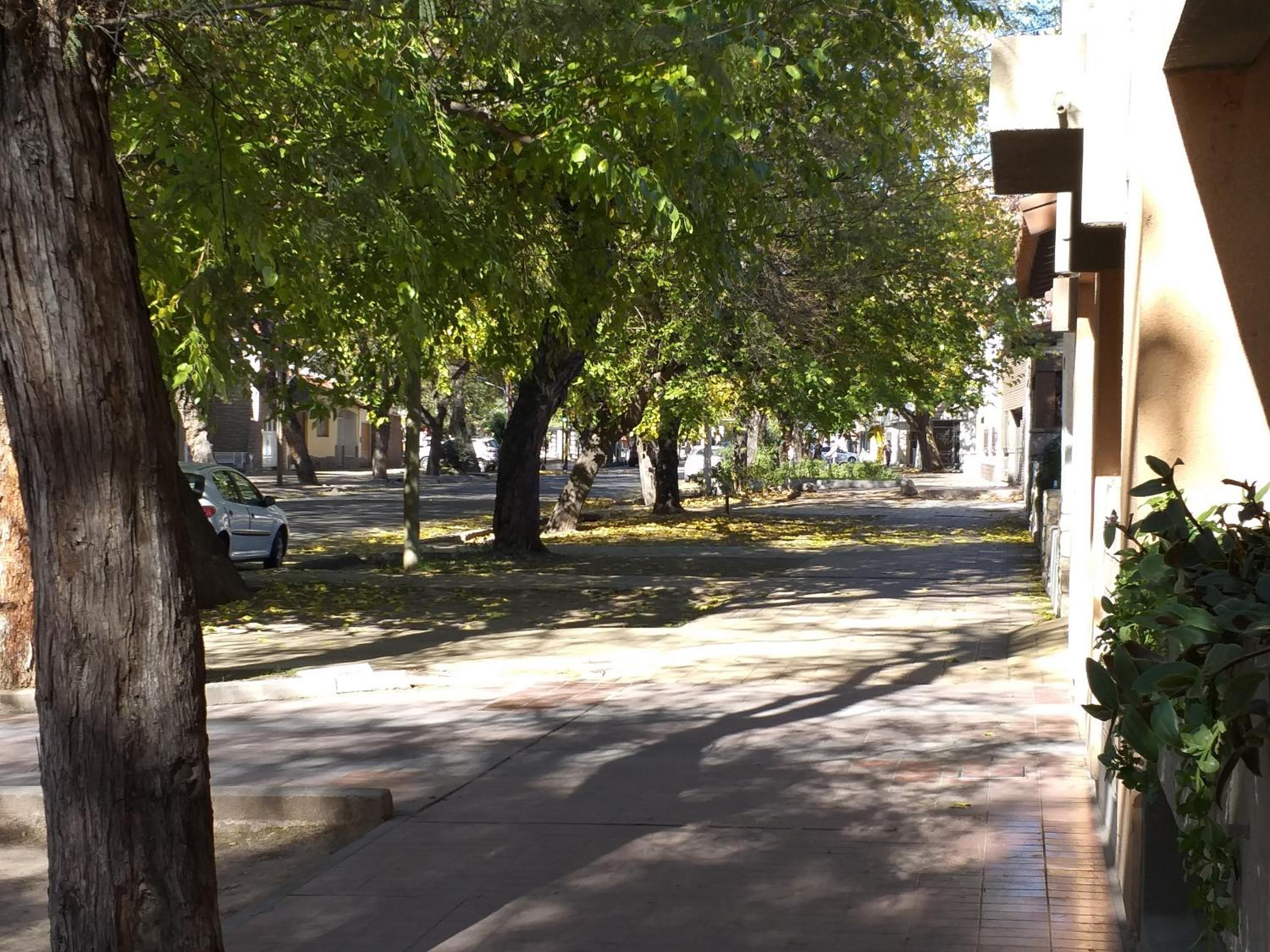 Apartamento Benegas