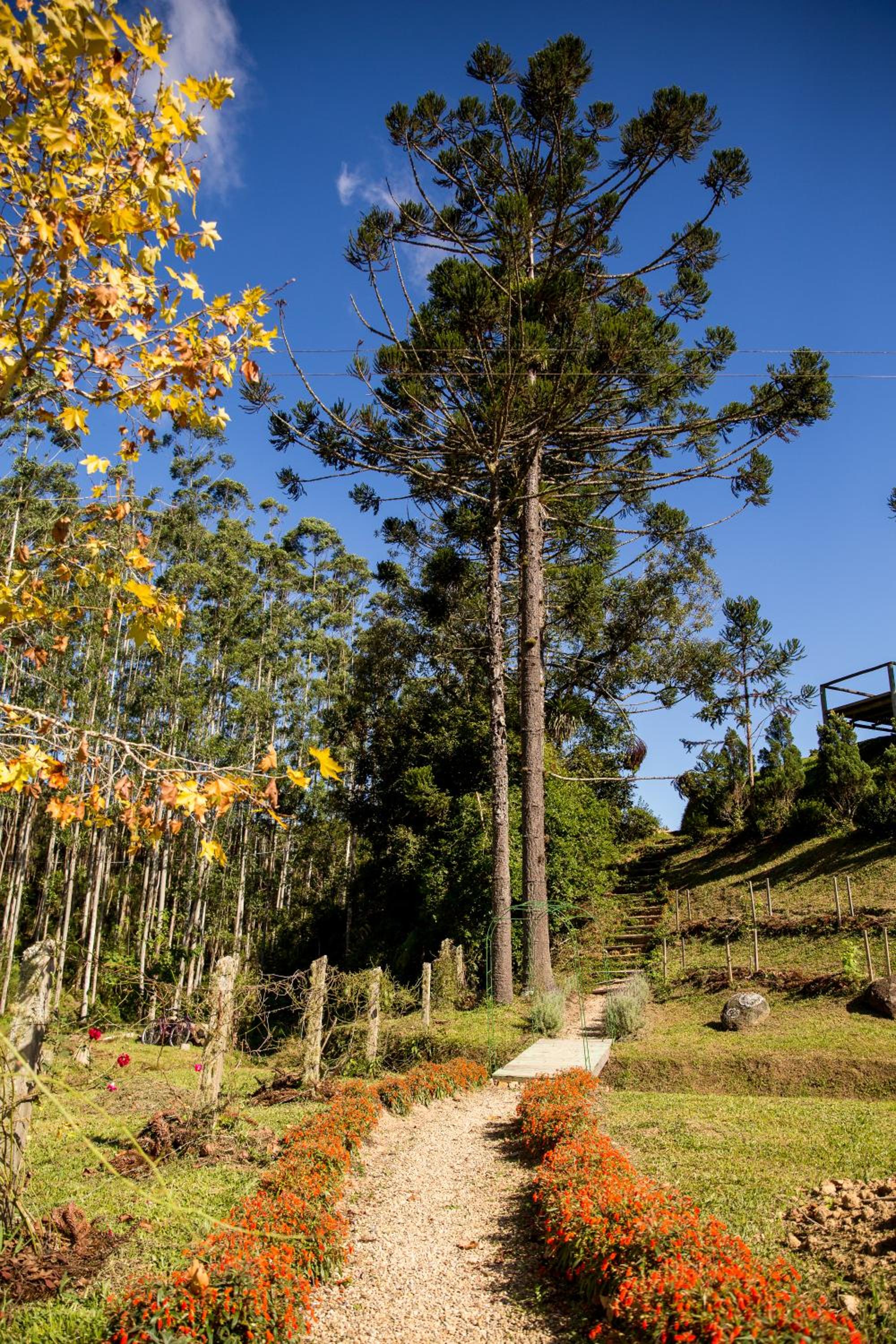 Pousada Rural Ritmos da Terra