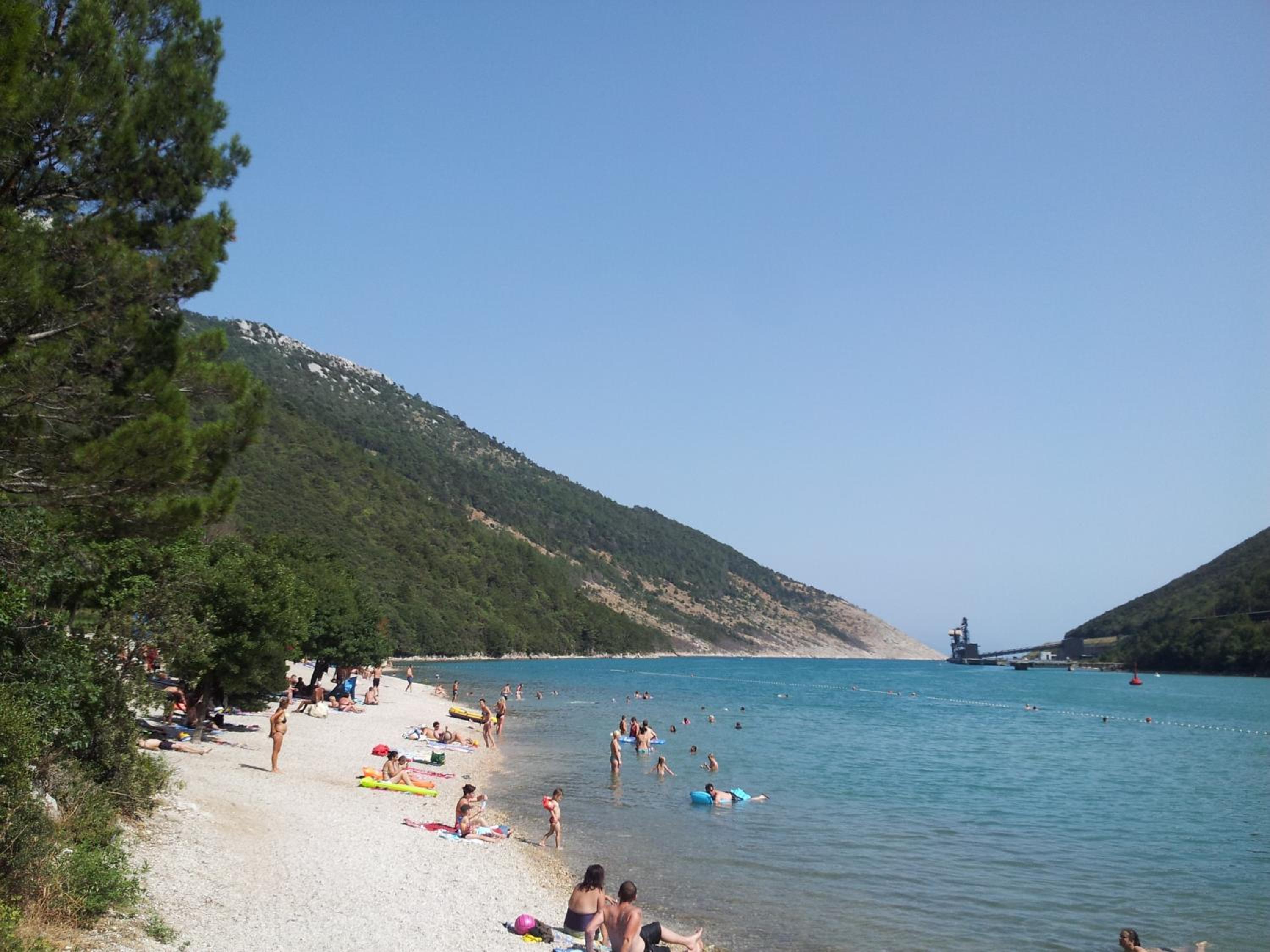 Photo 44