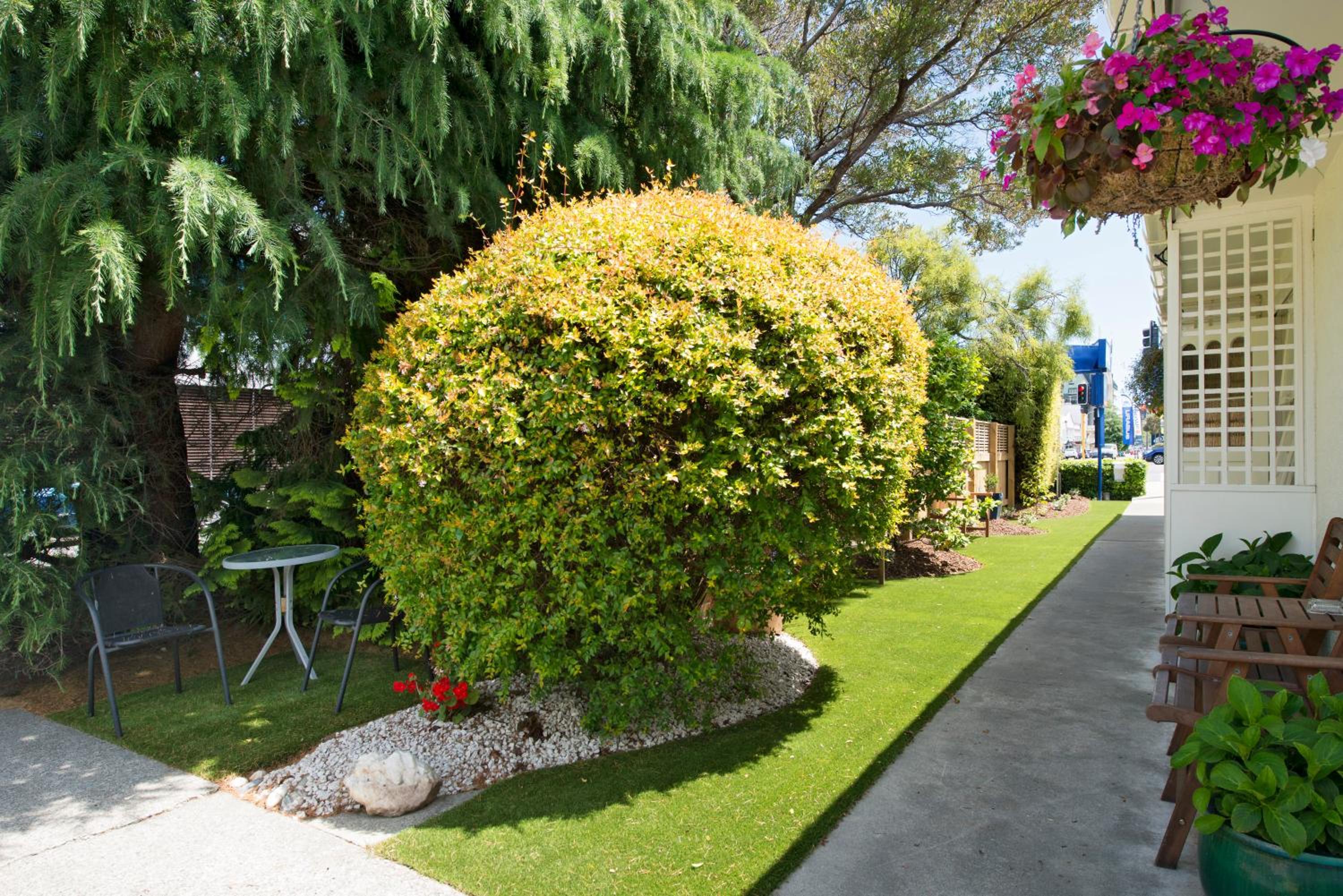 Photo 19