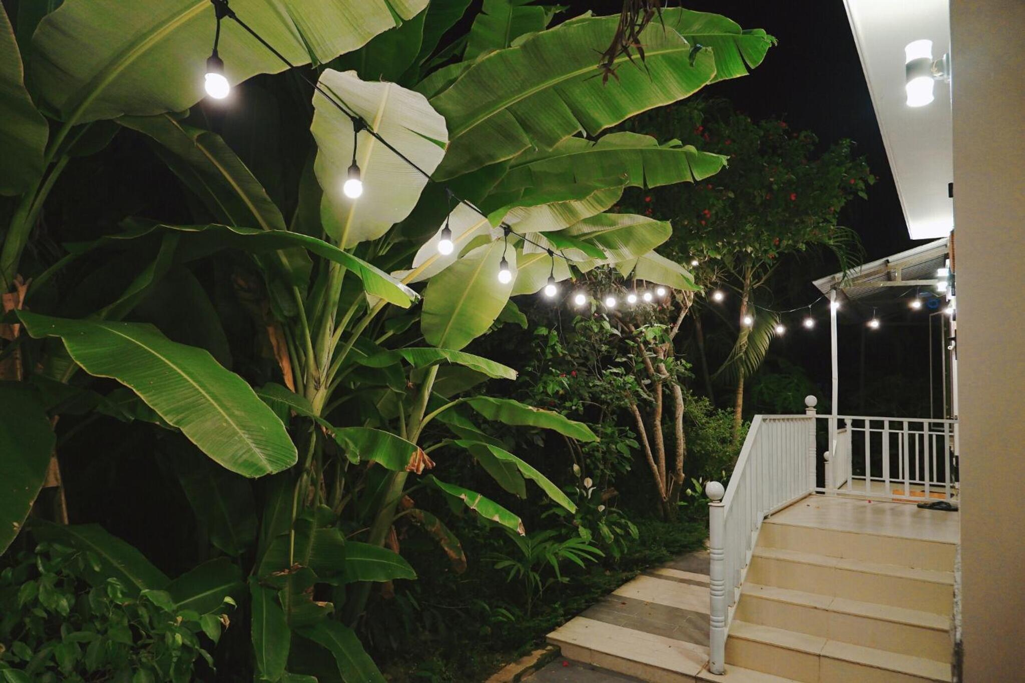 Longan Homestay