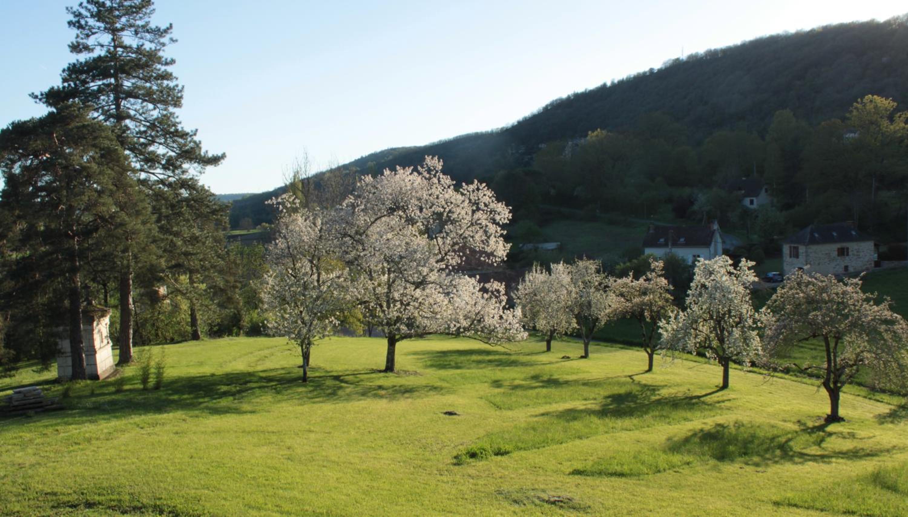 Domaine Le Broual