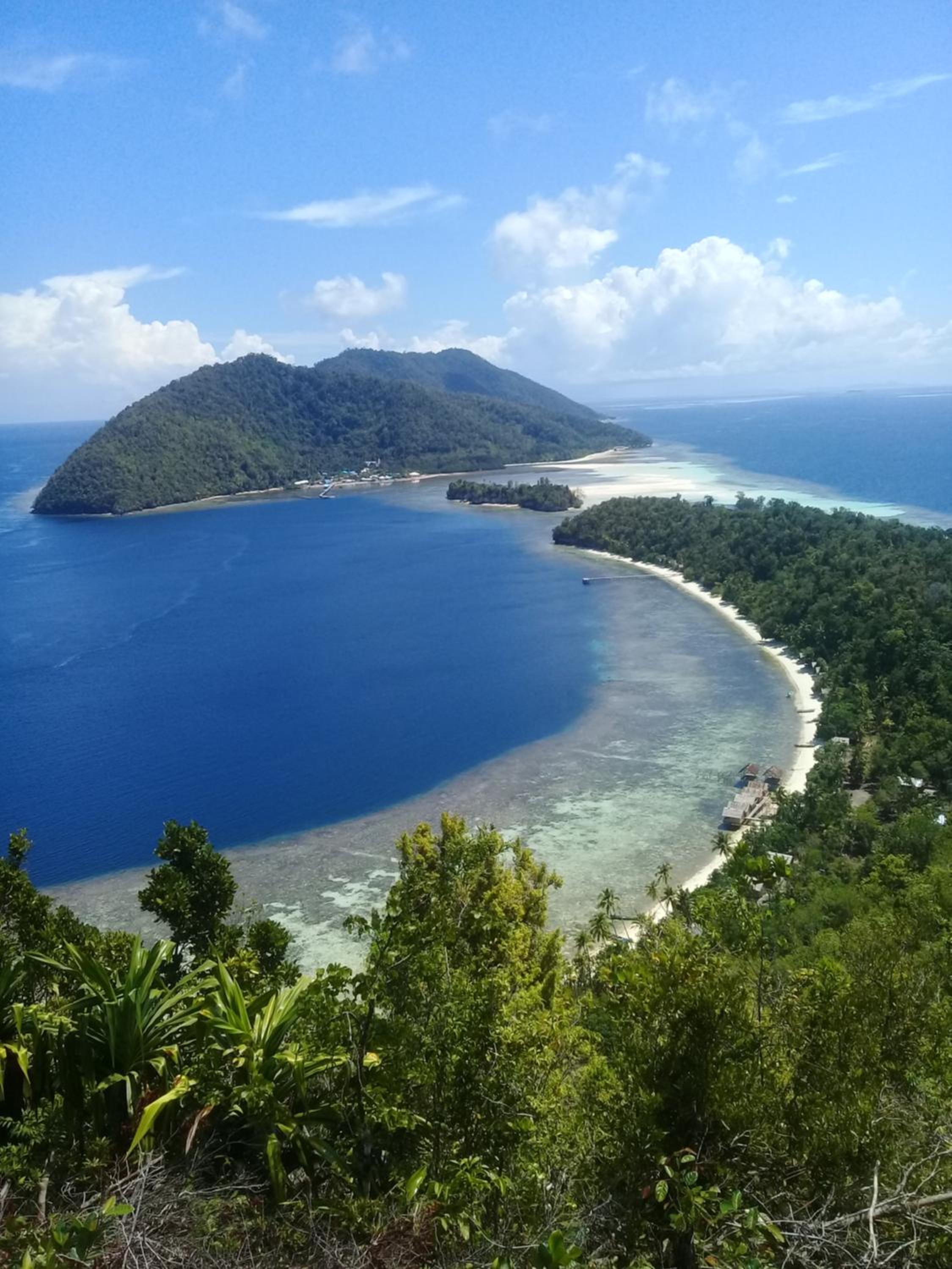 Turtle Dive Homestay view 3