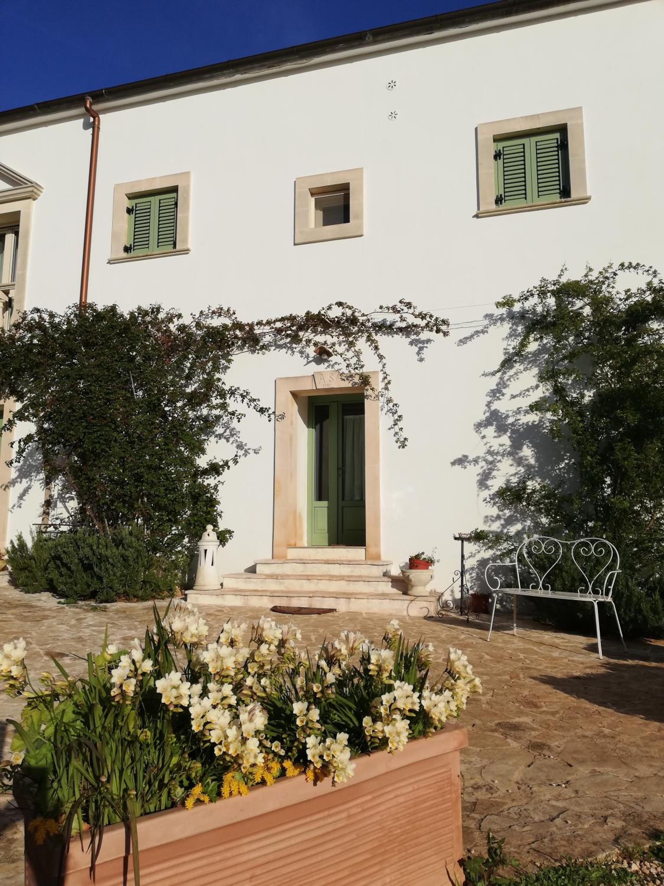 Photo 24