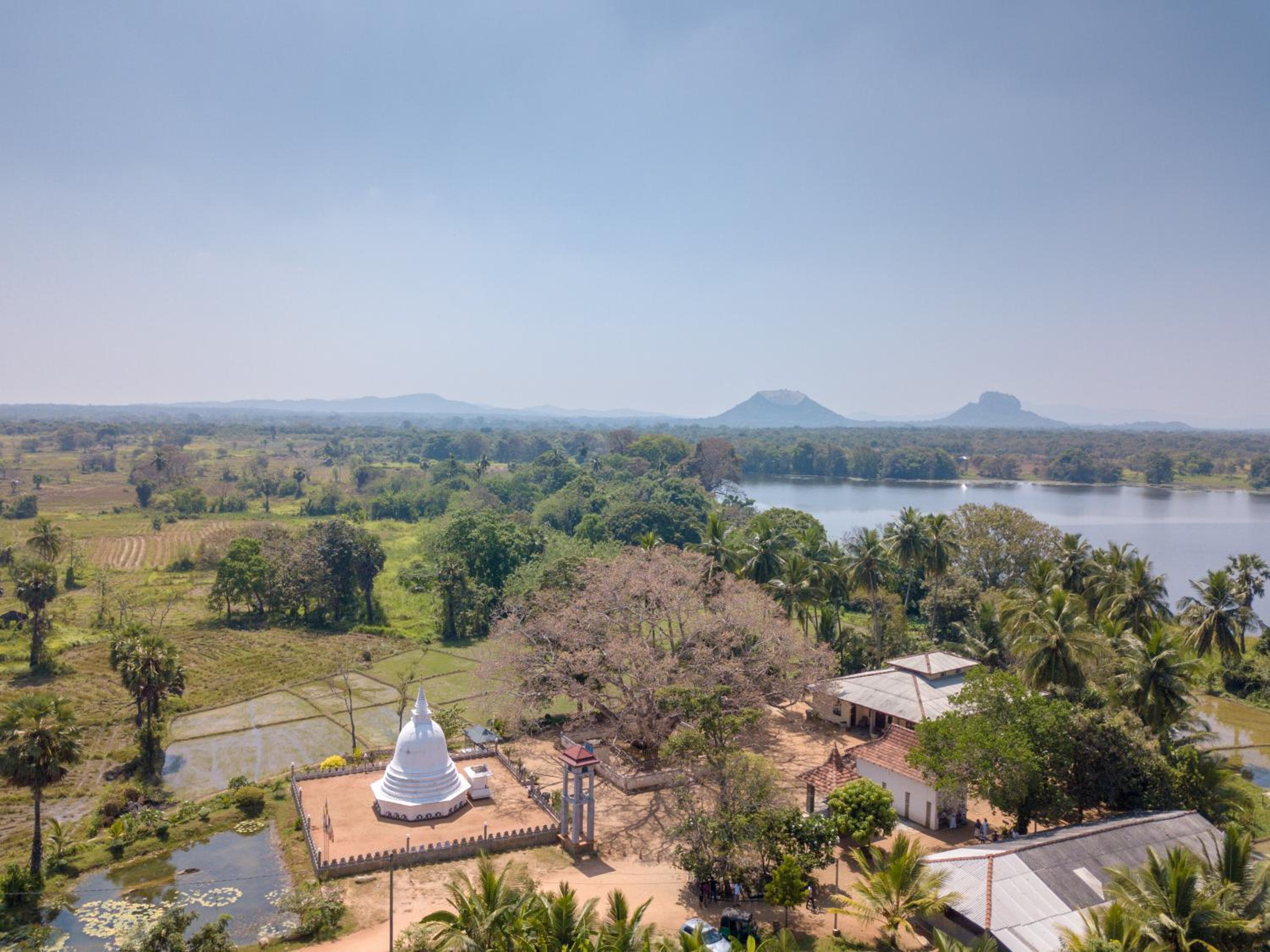 Camellia Resort and Spa