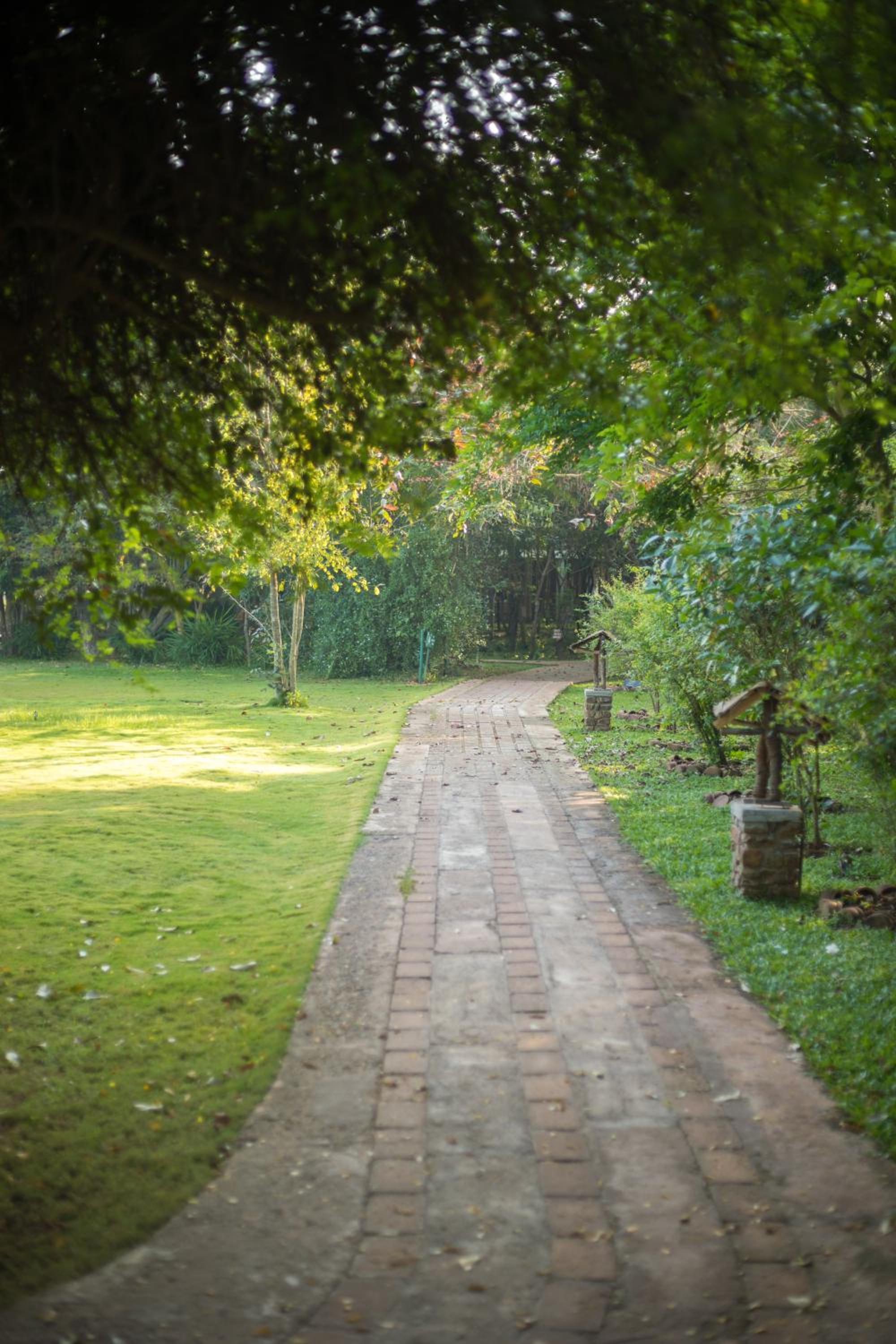 Camellia Resort and Spa