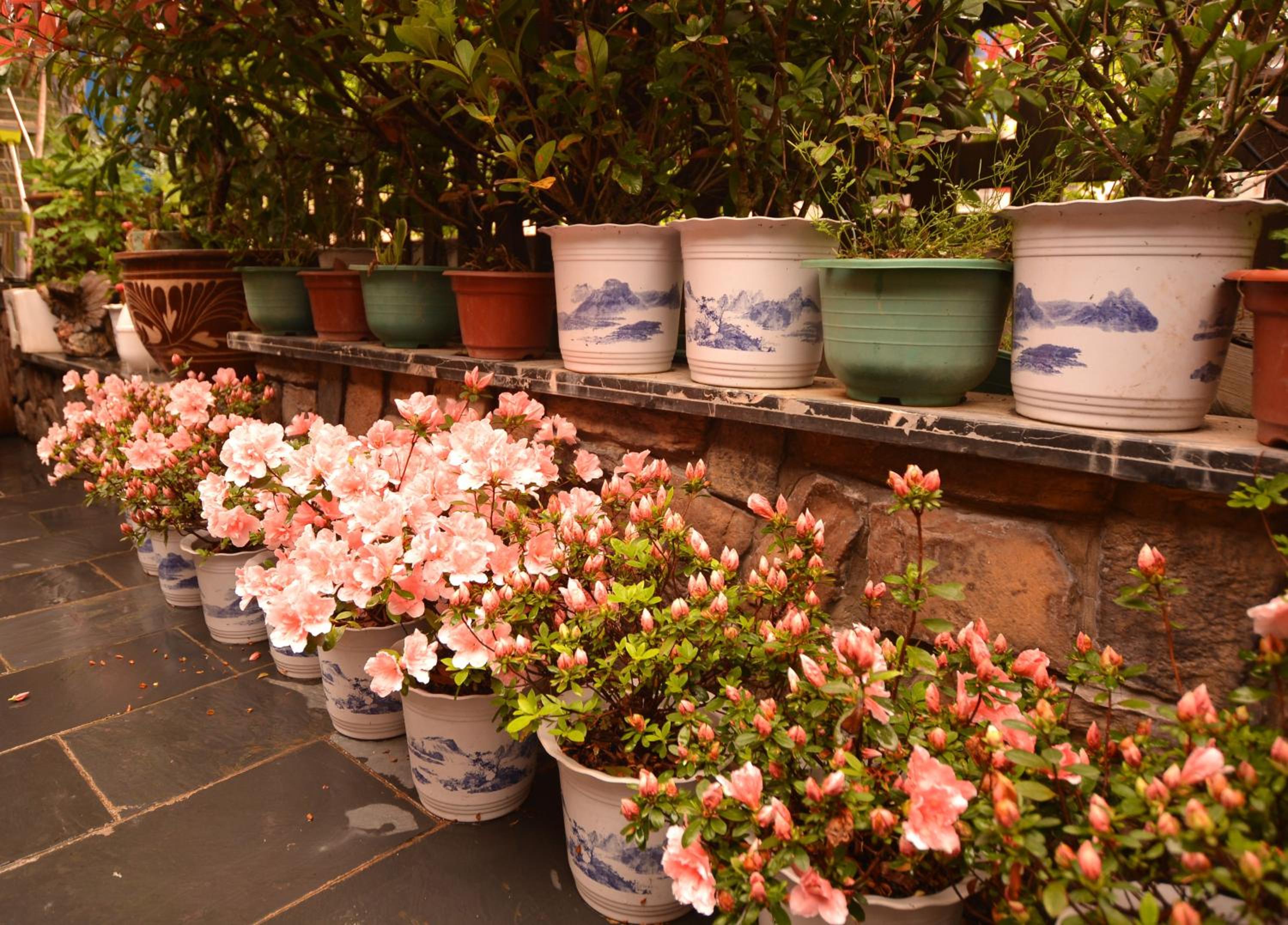 Floral Hotel · Baihui Living Zhangjiajie