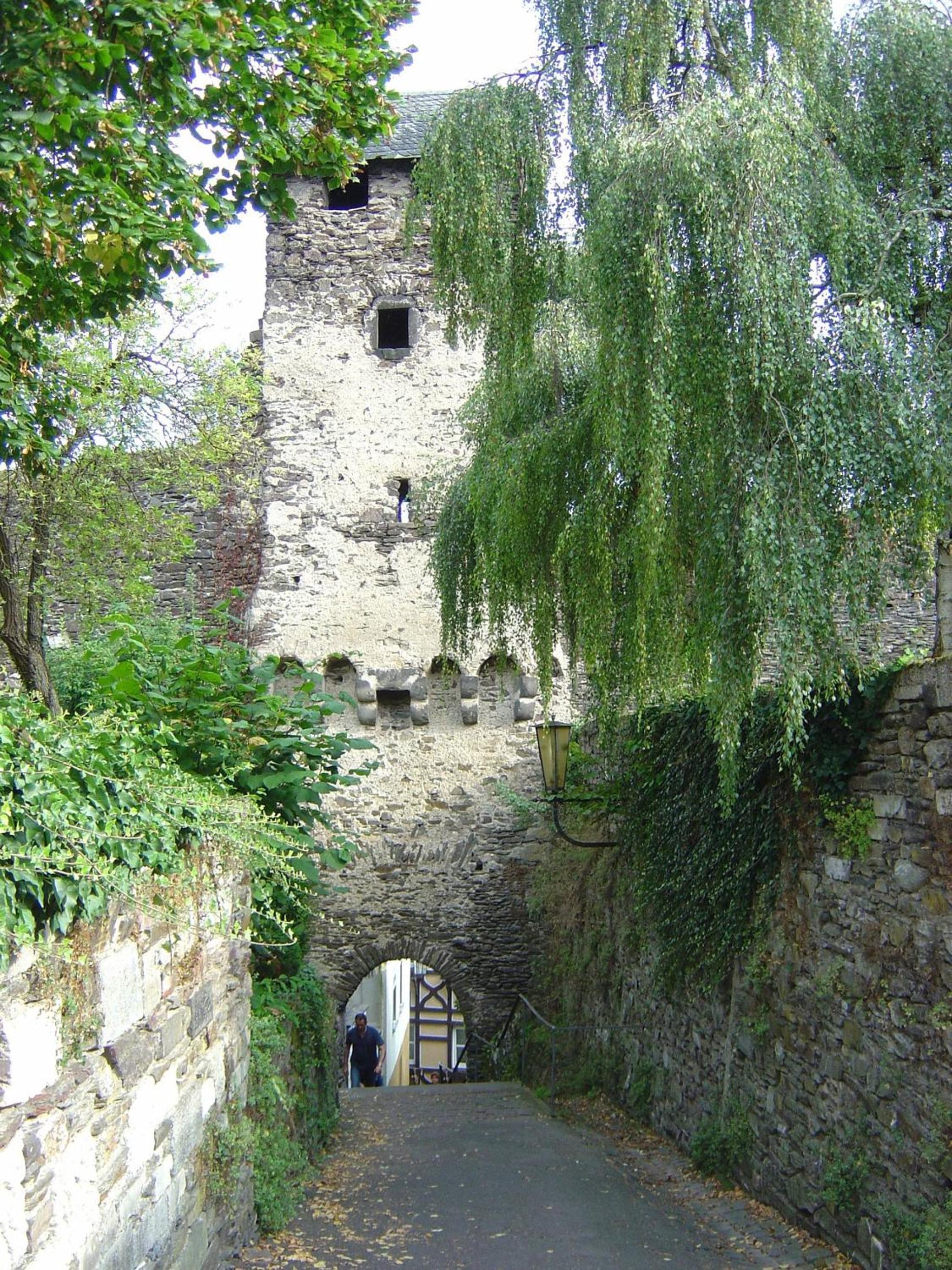 Photo 20
