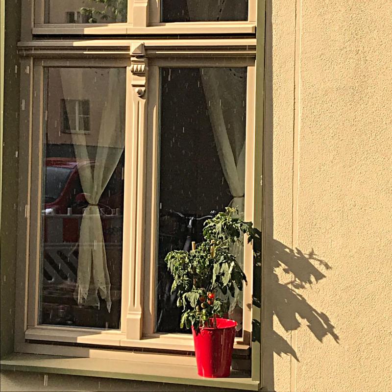 Potsdam Vacations - Ferienwohnung Kamp "Blick ins Grune" - Property Image 3