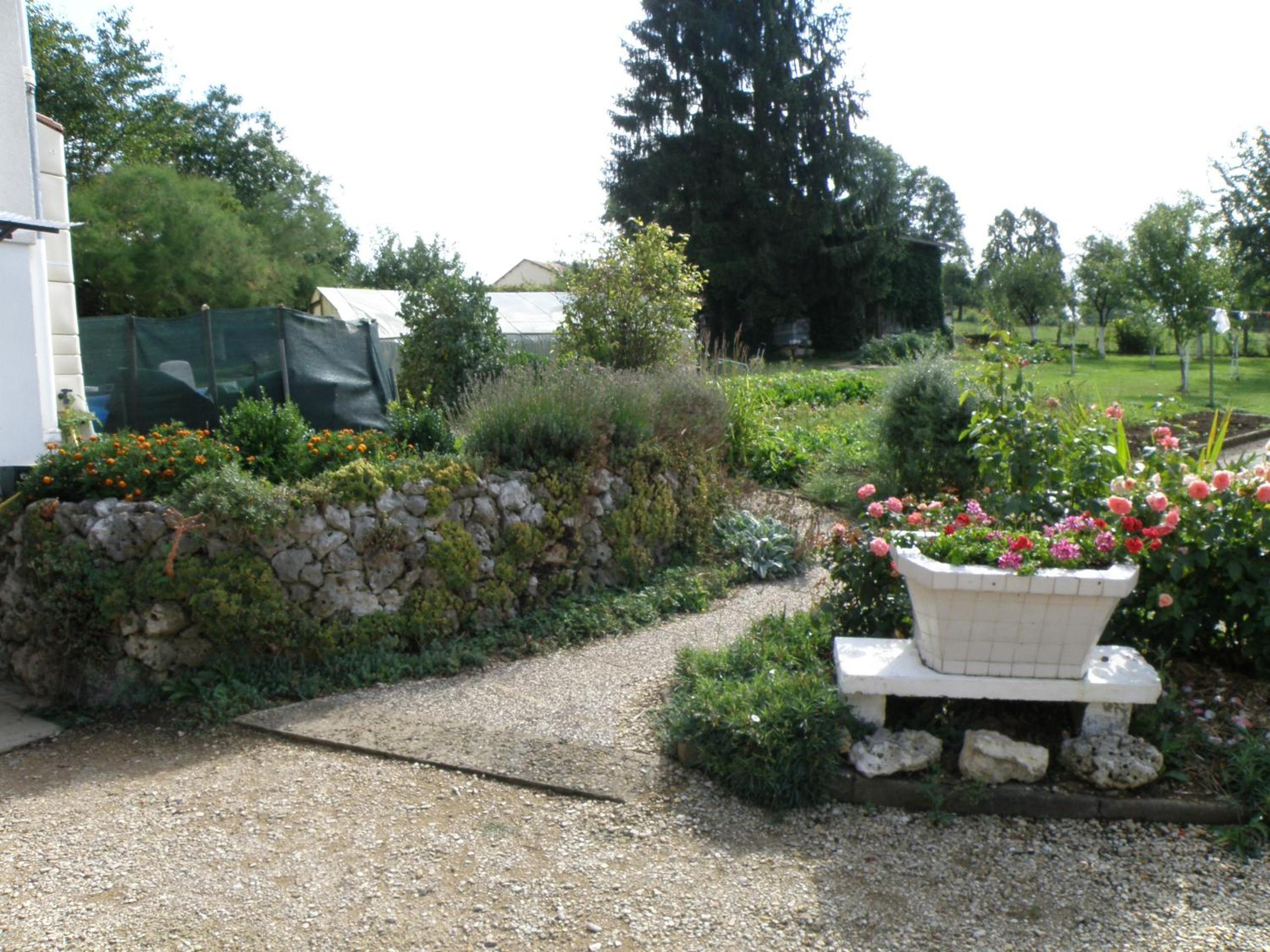 Photo 17