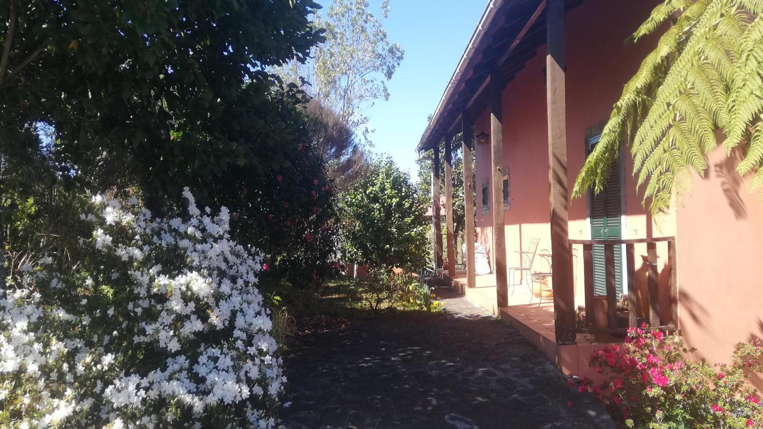 Photo 48