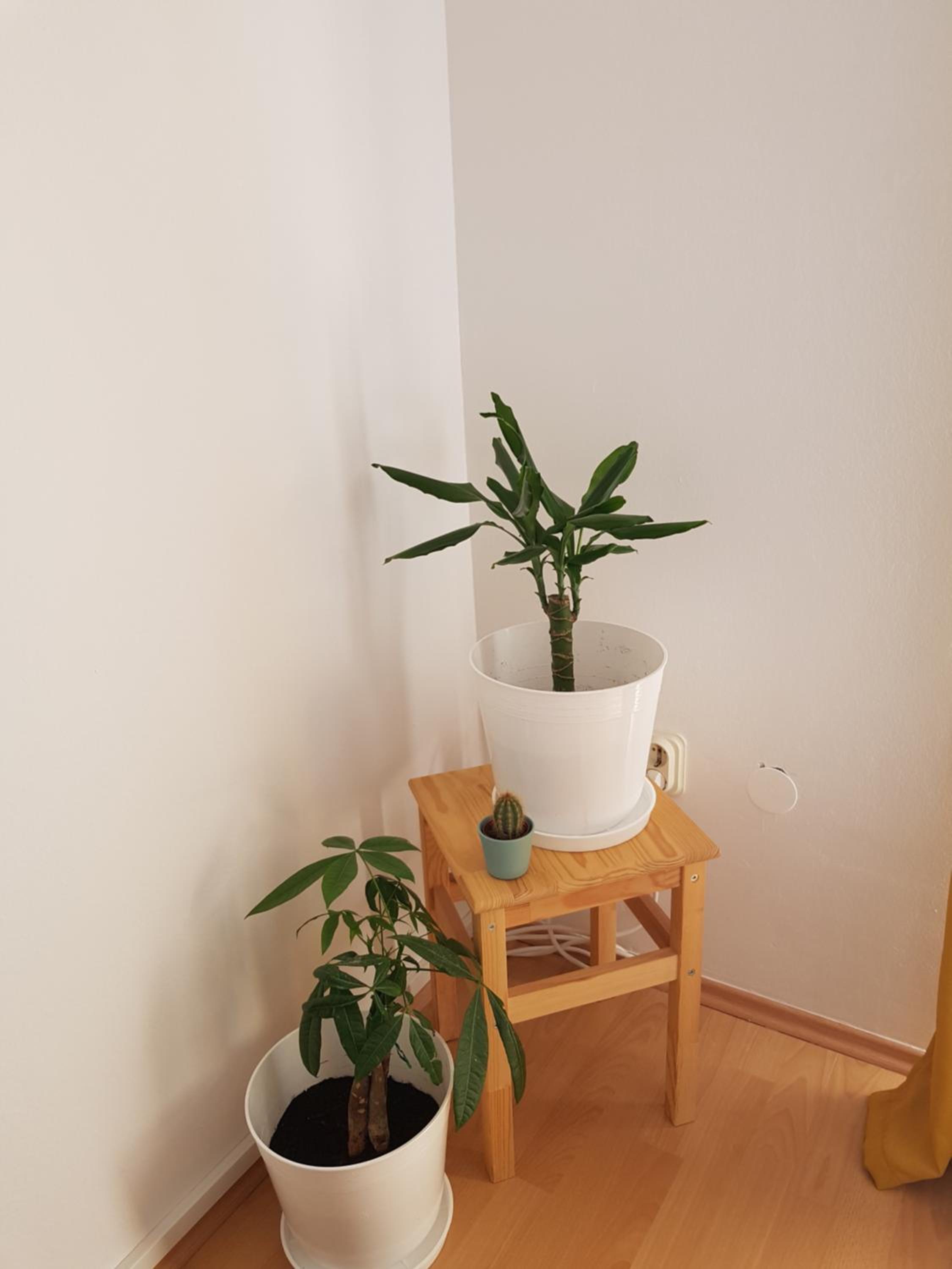Bol Apartment Keka