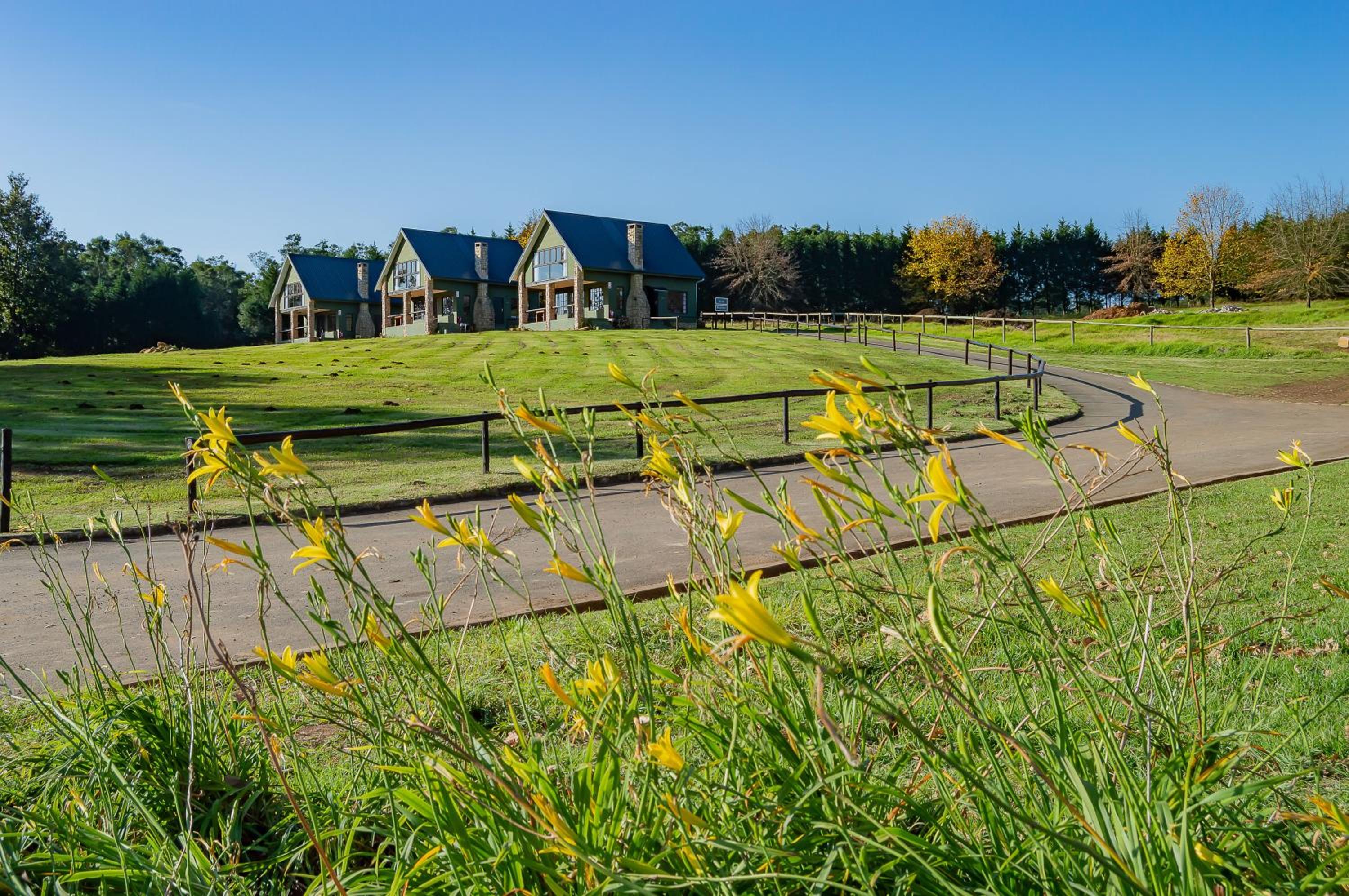 Springholm Cottages