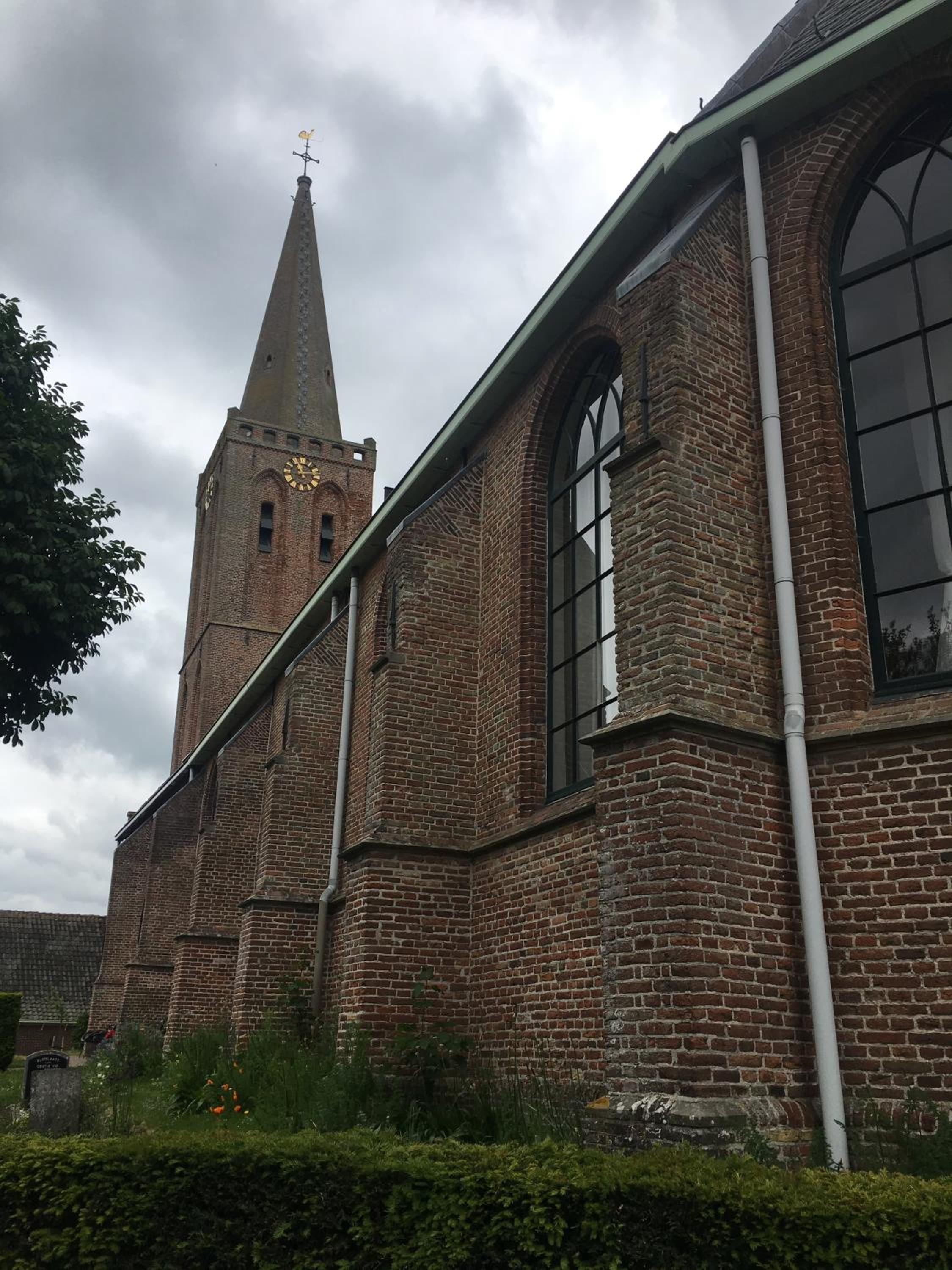 Photo 19