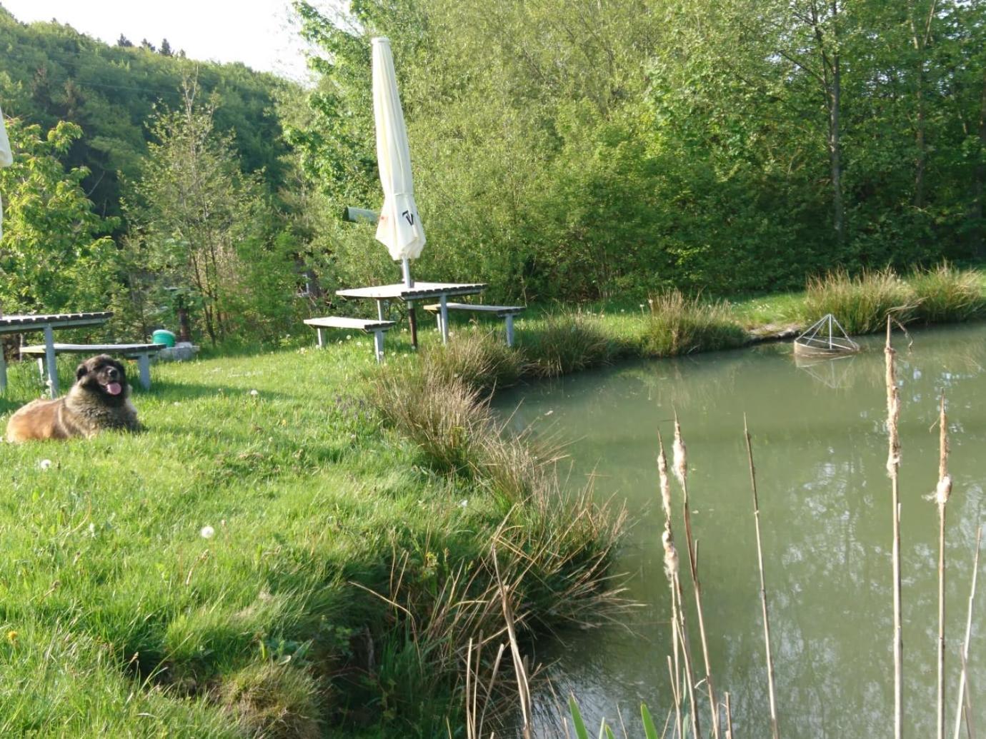 Ferienwohnung Hohe Acht