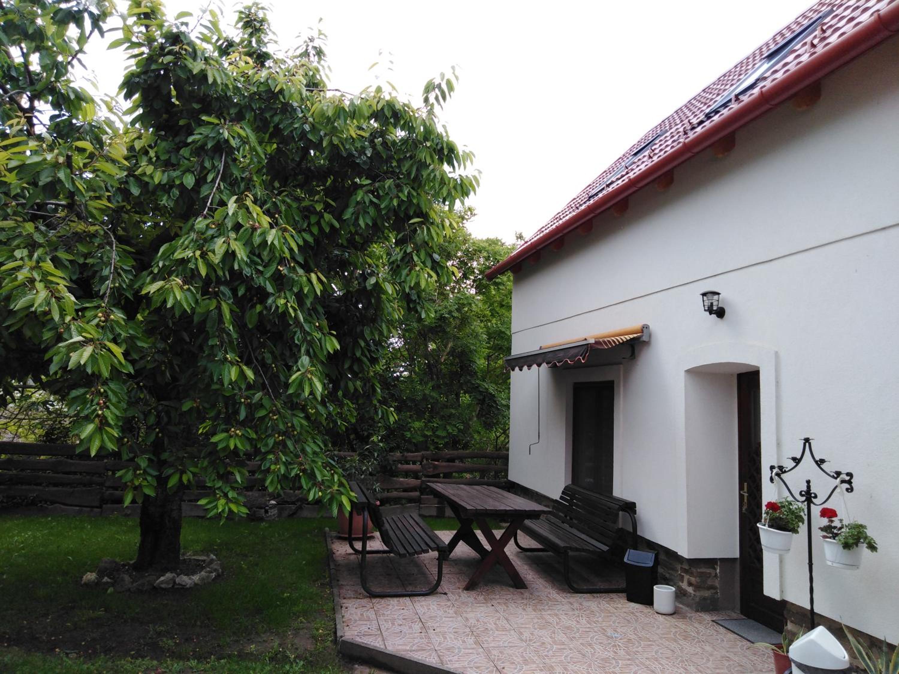 Photo 29