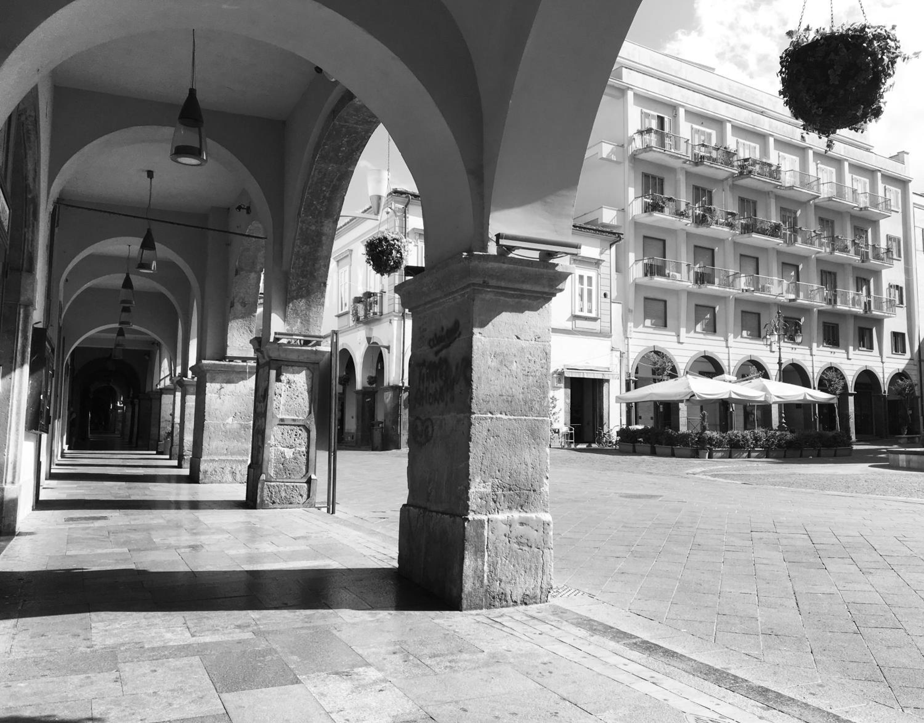 Photo 48