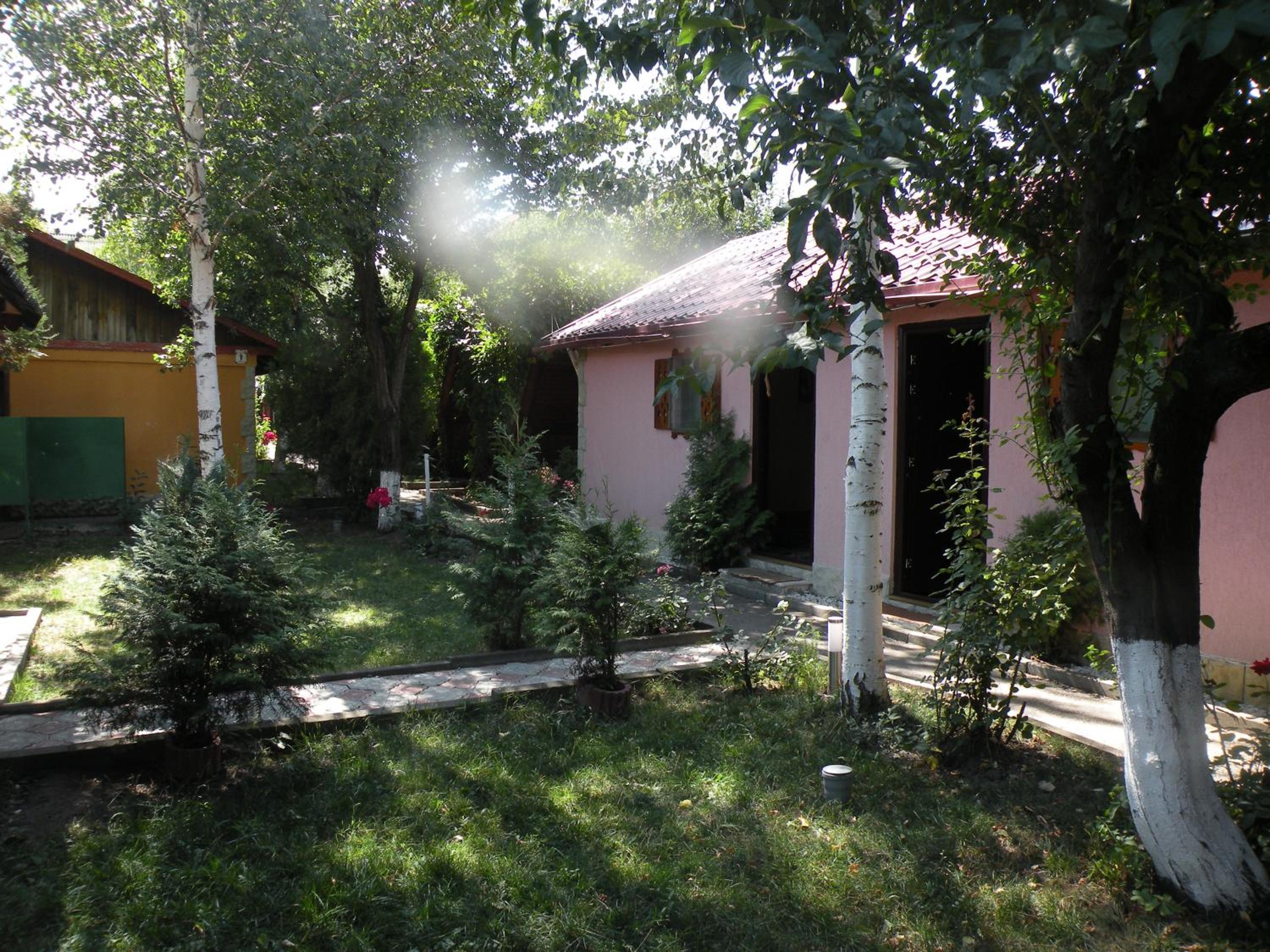 Photo 29