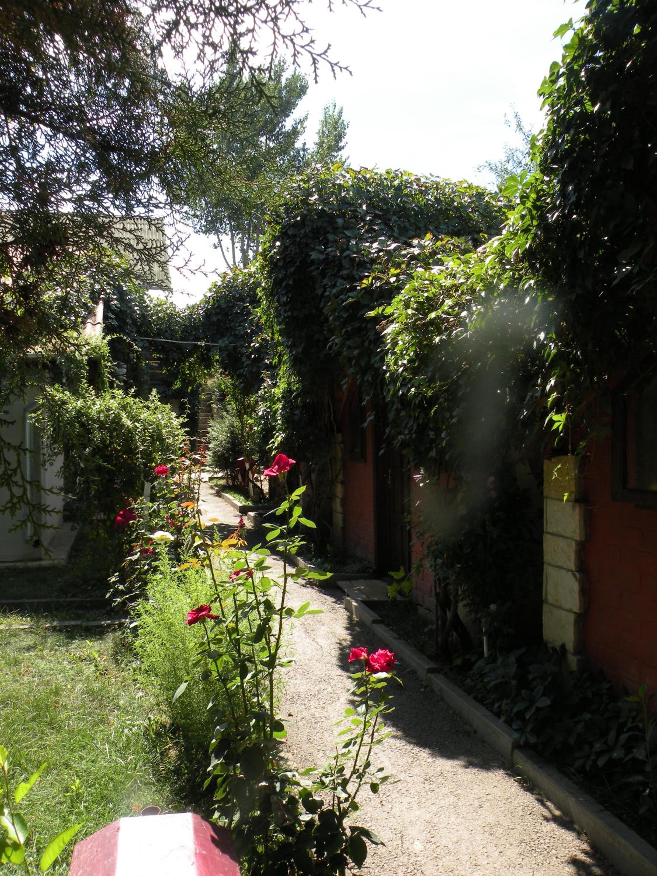 Photo 34