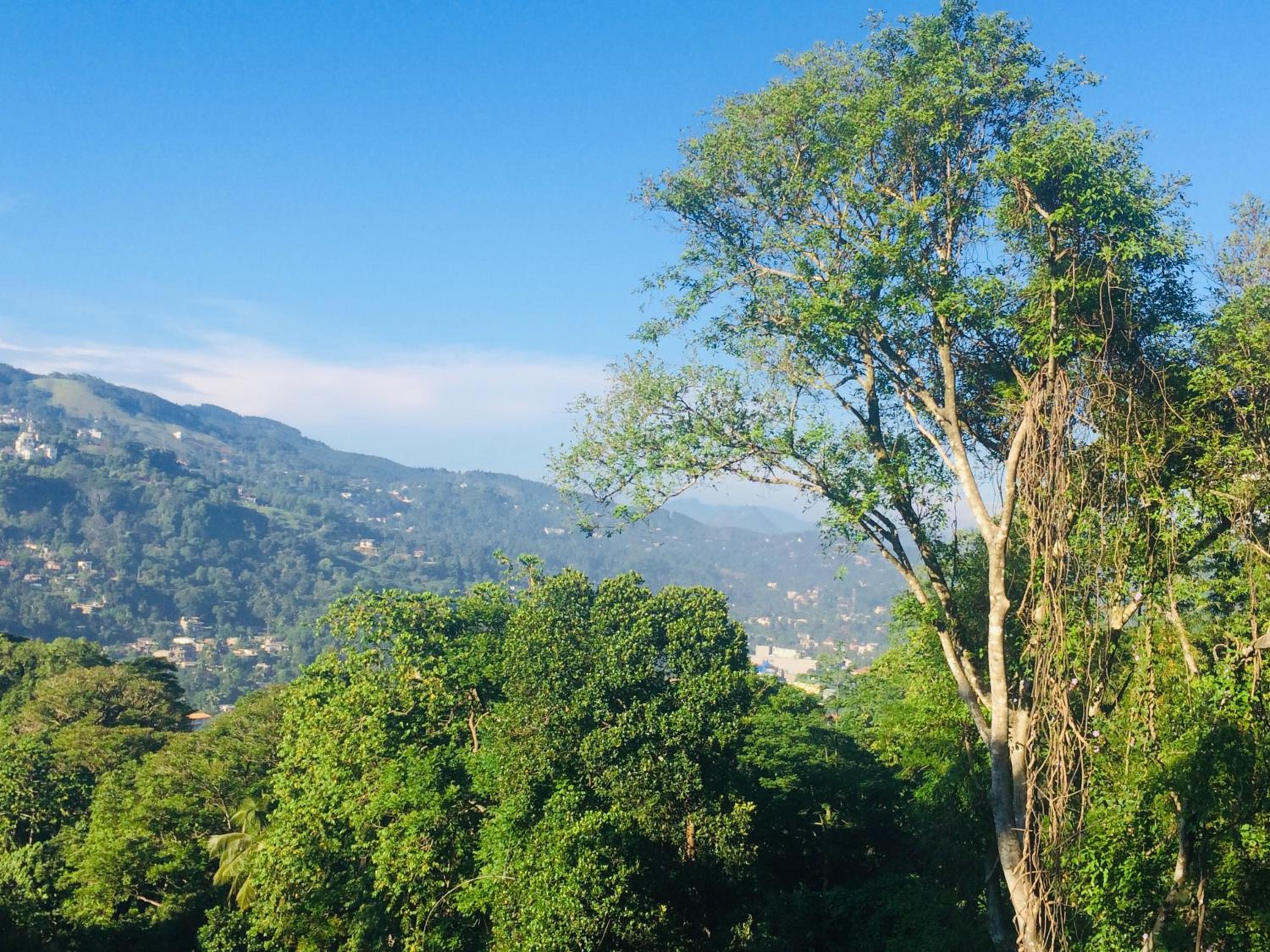 Photo 25