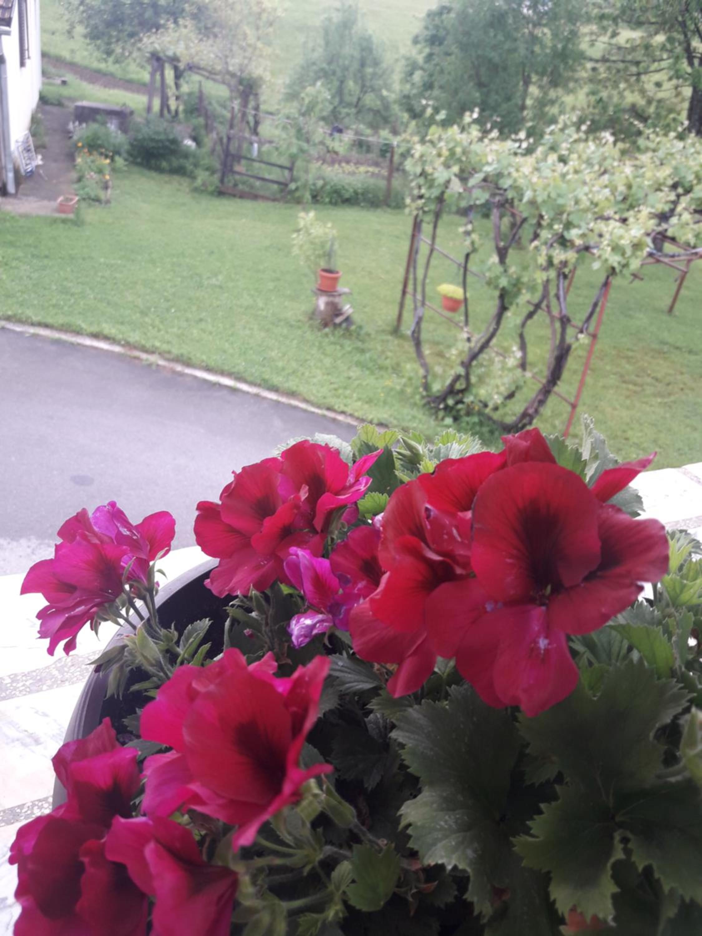 Photo 32
