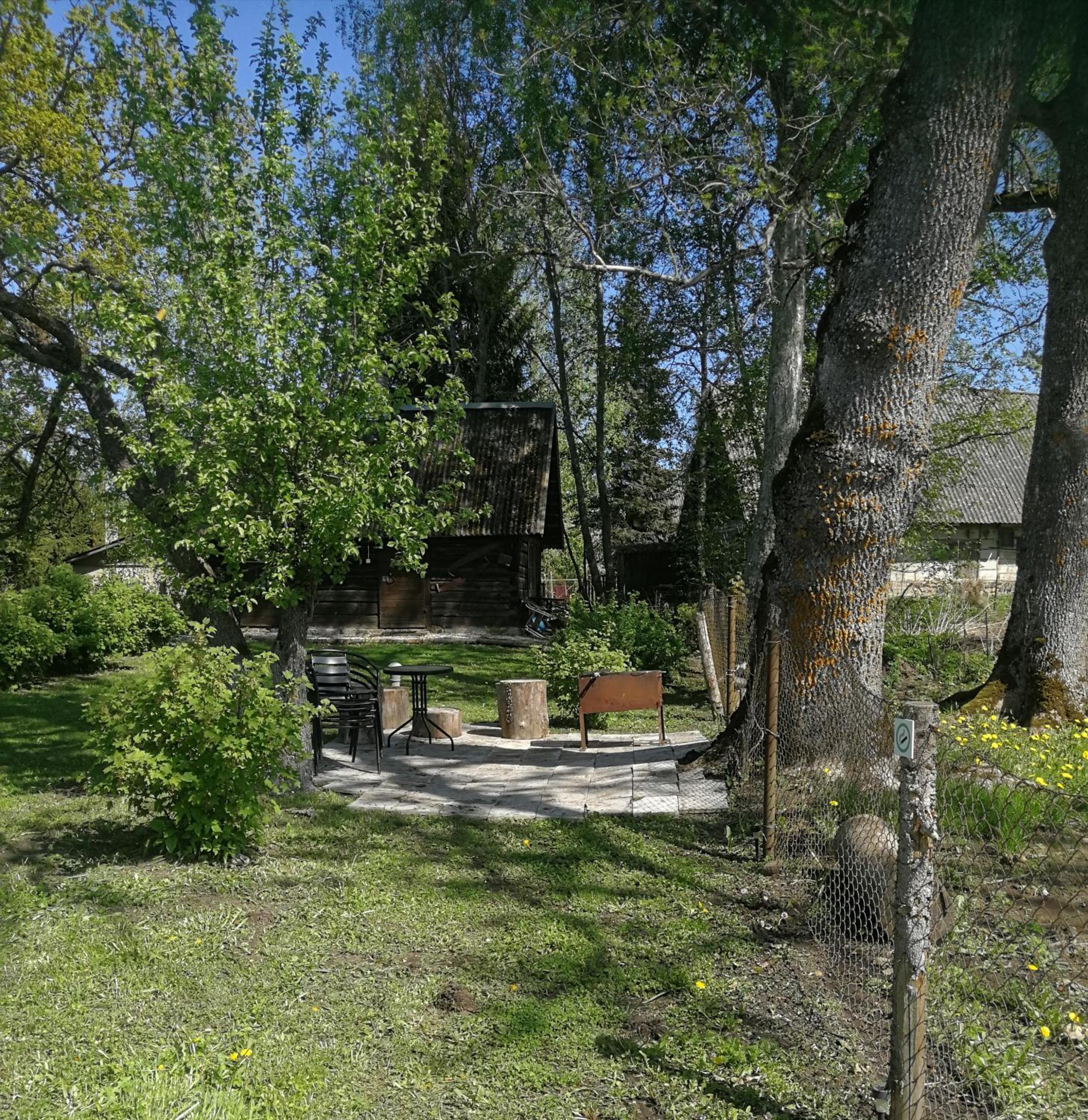 Photo 17