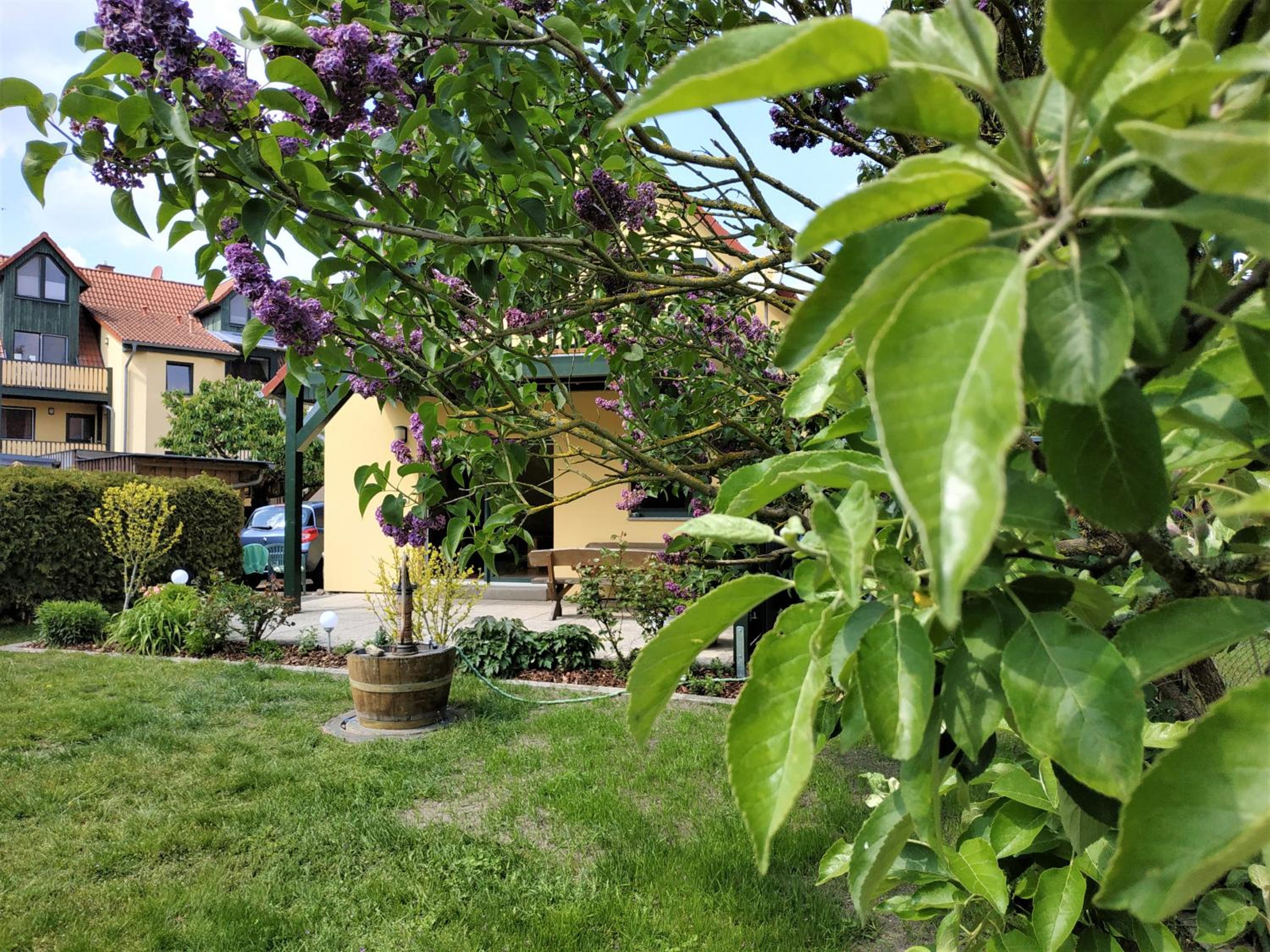 Photo 26