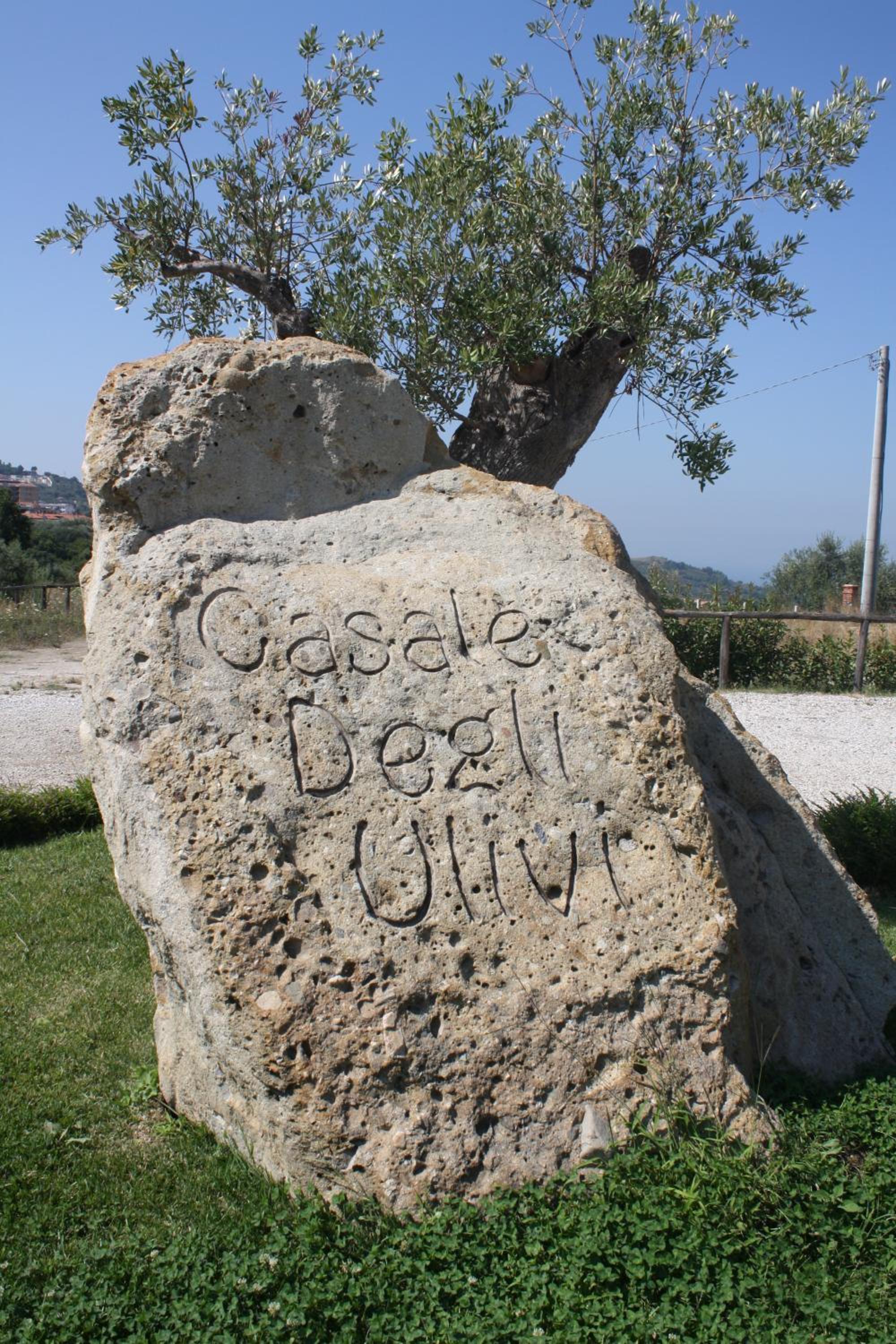 Casale degli Ulivi Resort