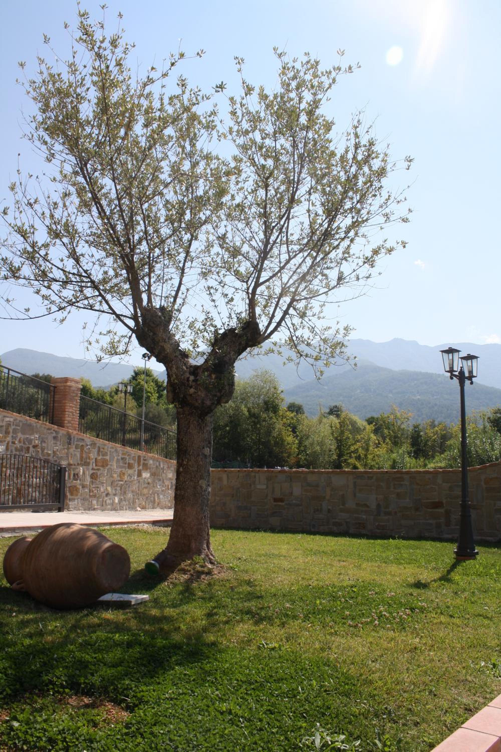 Casale degli Ulivi Resort