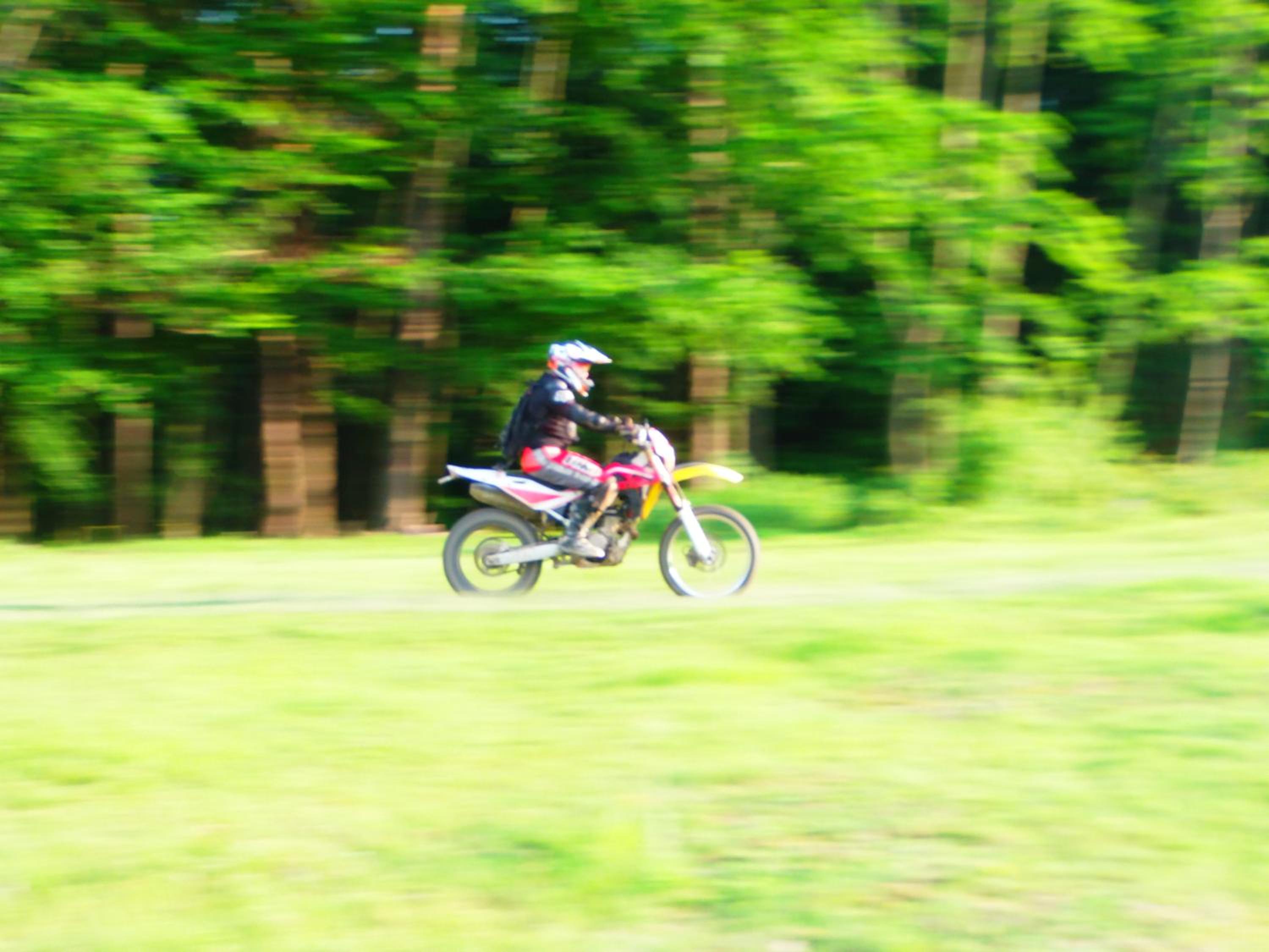 Photo 44