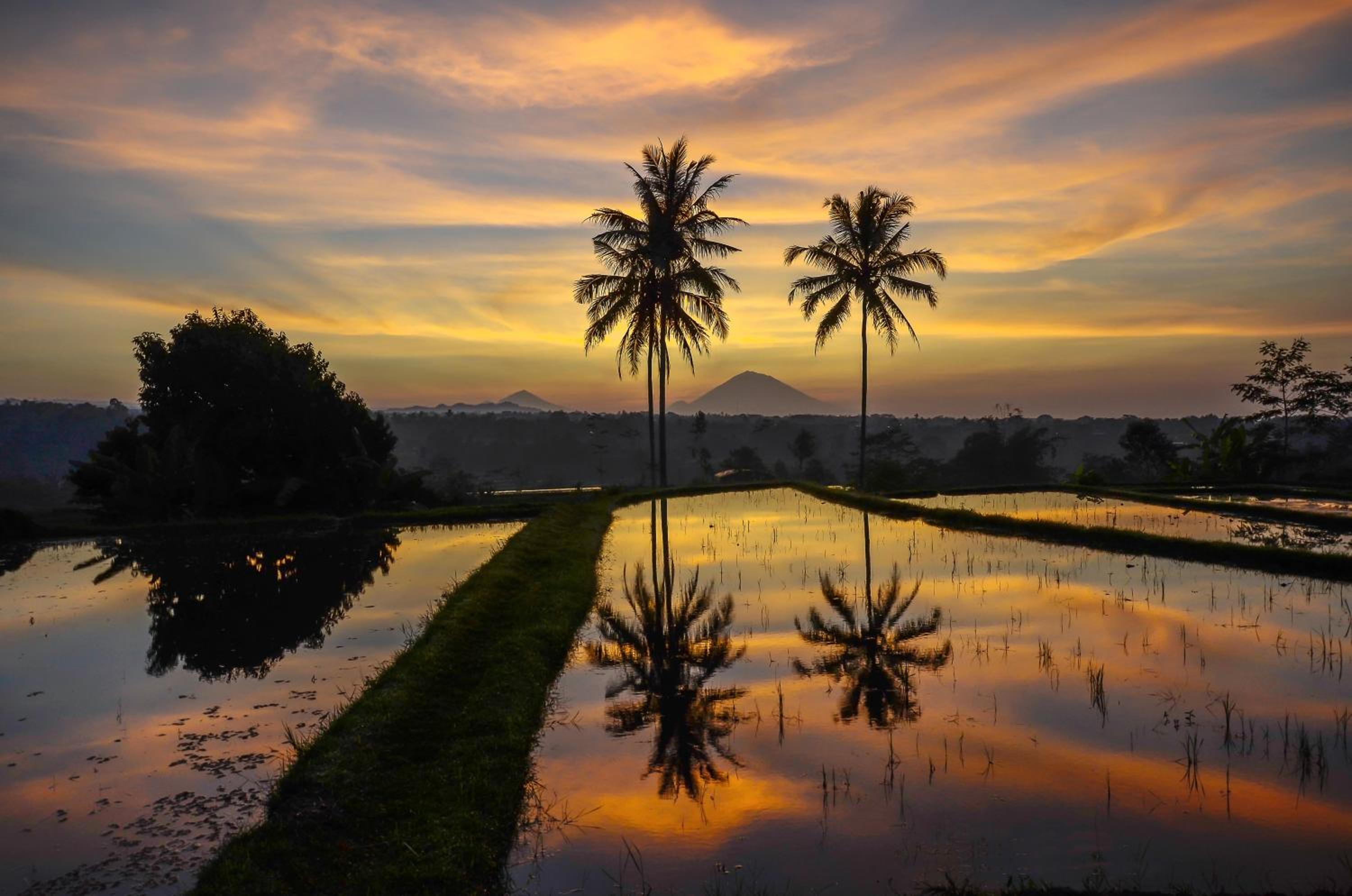 Ti Amo Bali