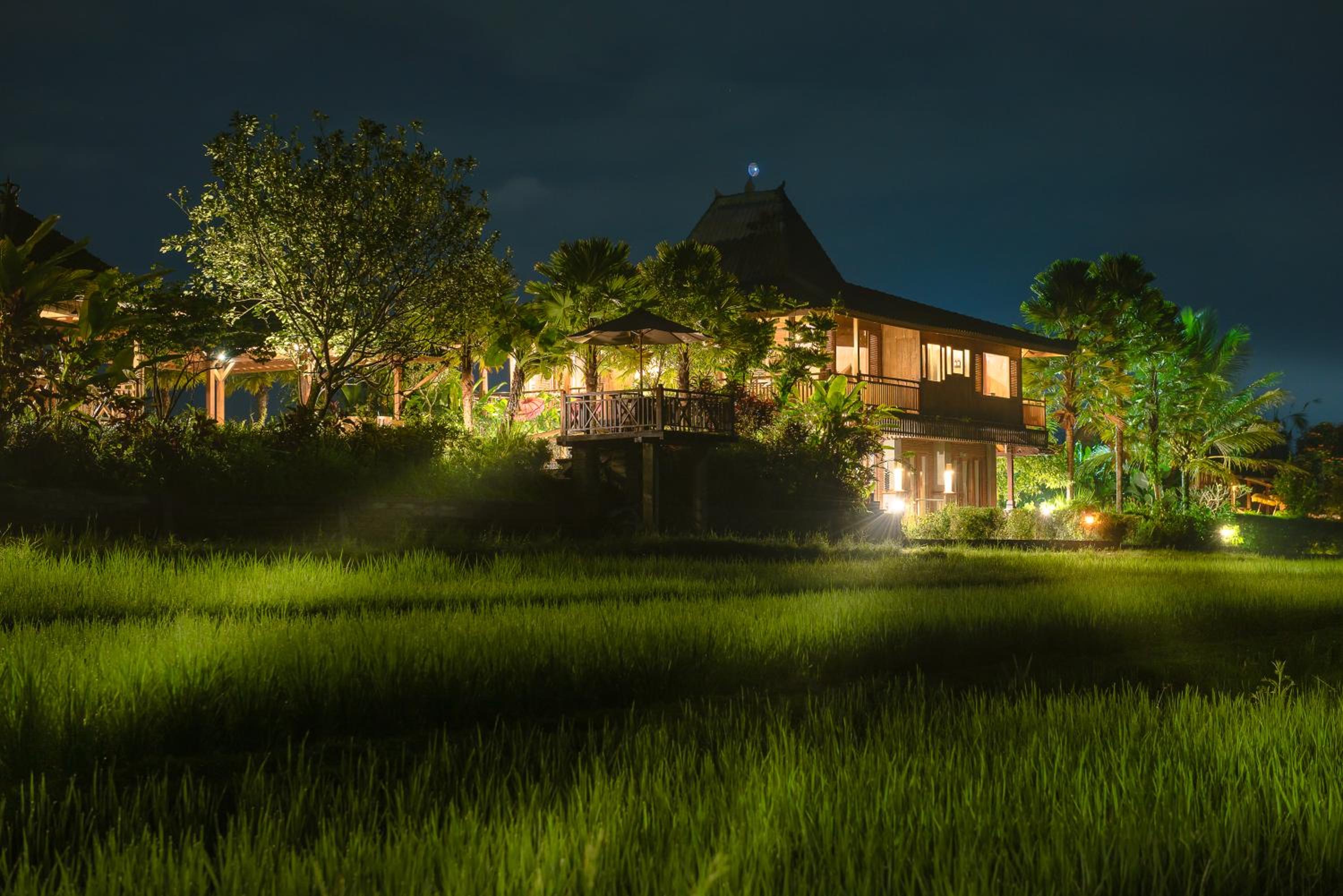 Ti Amo Bali