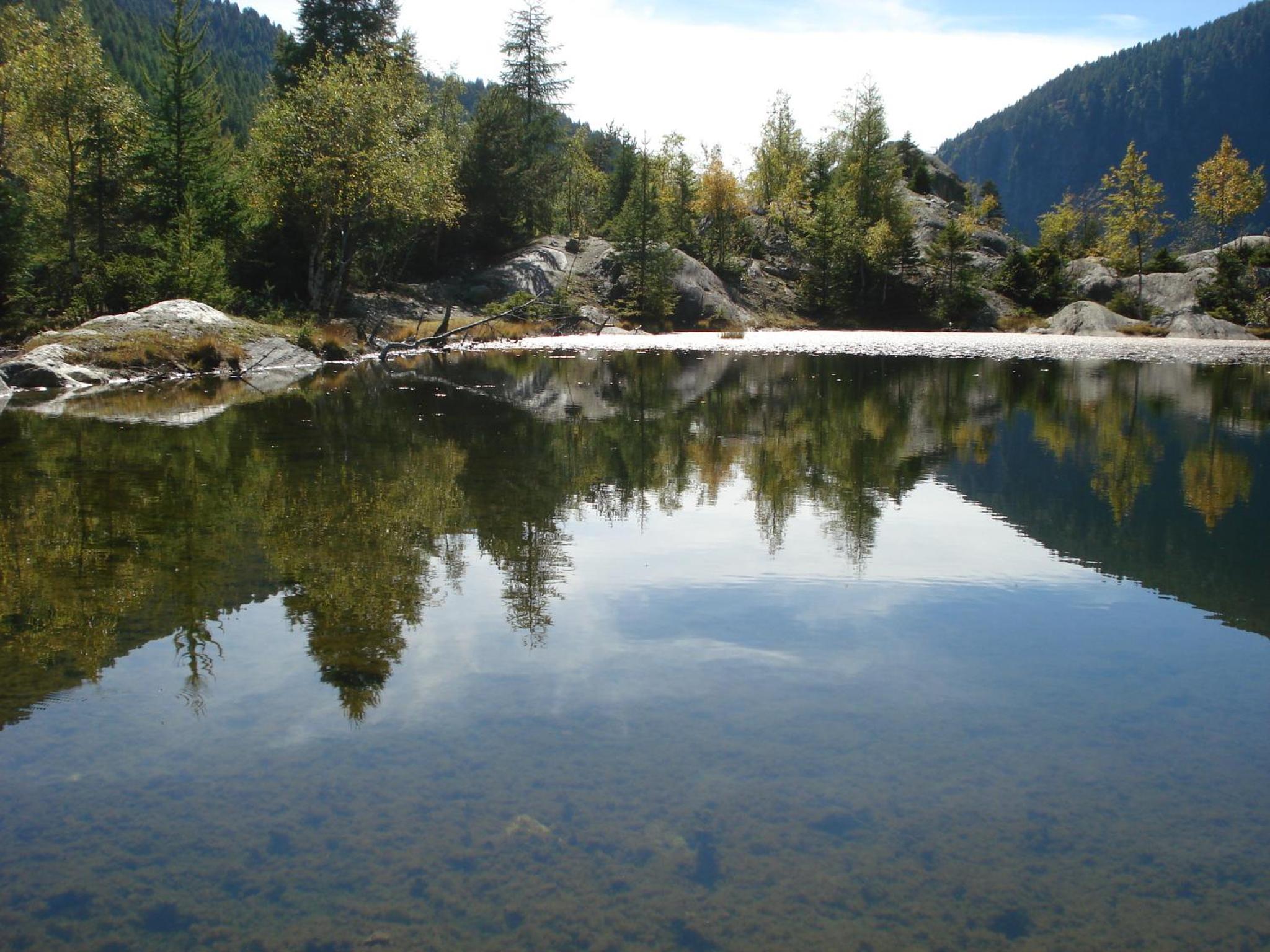 Photo 47
