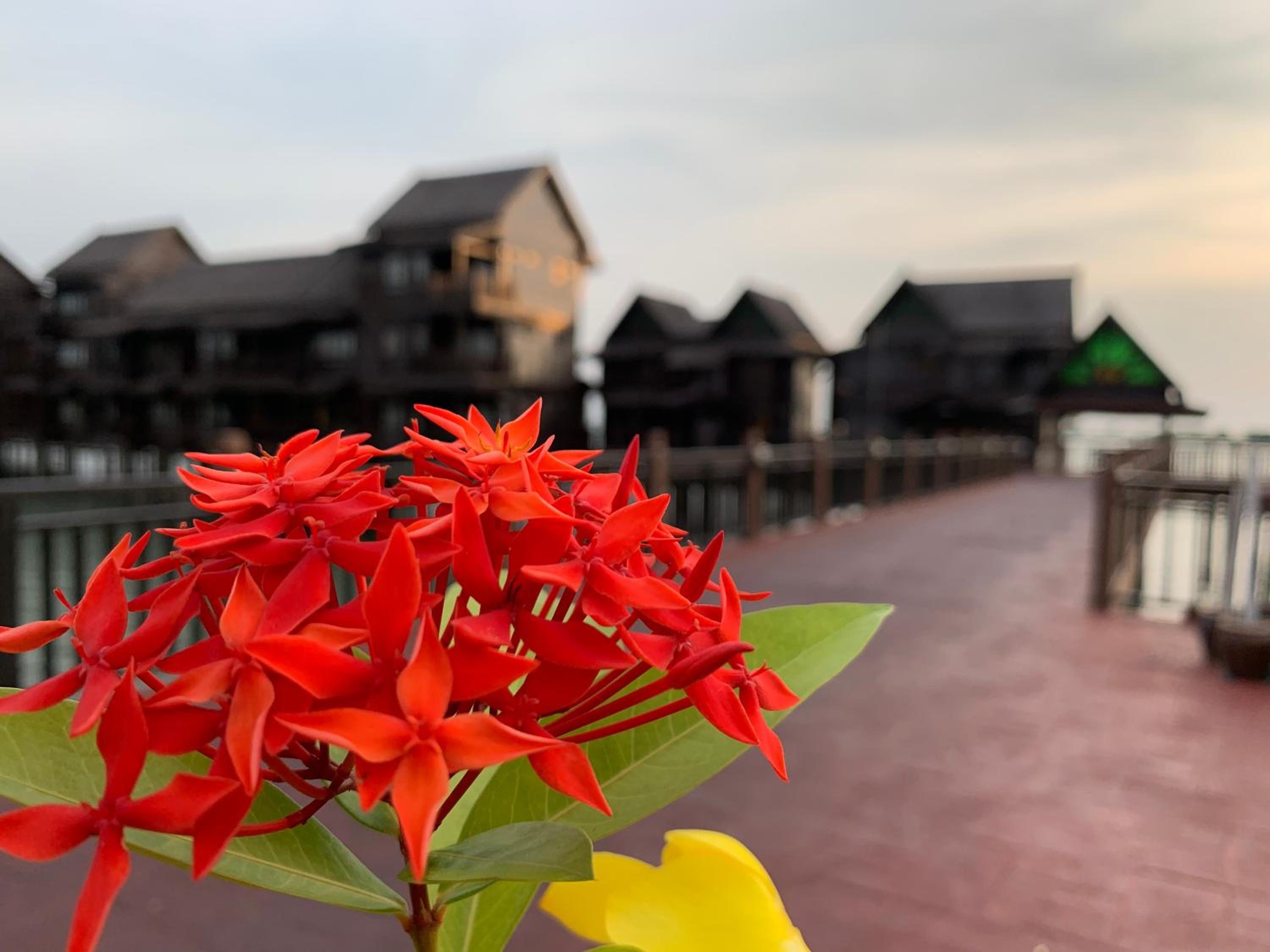 Langkawi Lagoon Resort Water Chalet photo 5