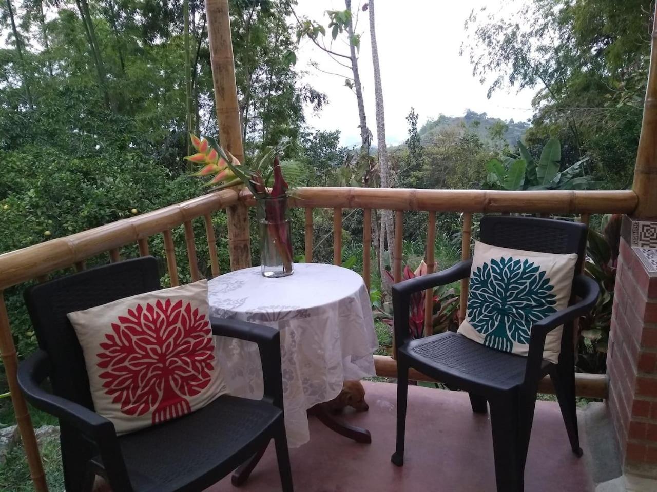Finca Colibrí Zafiro, Altos del Rosario