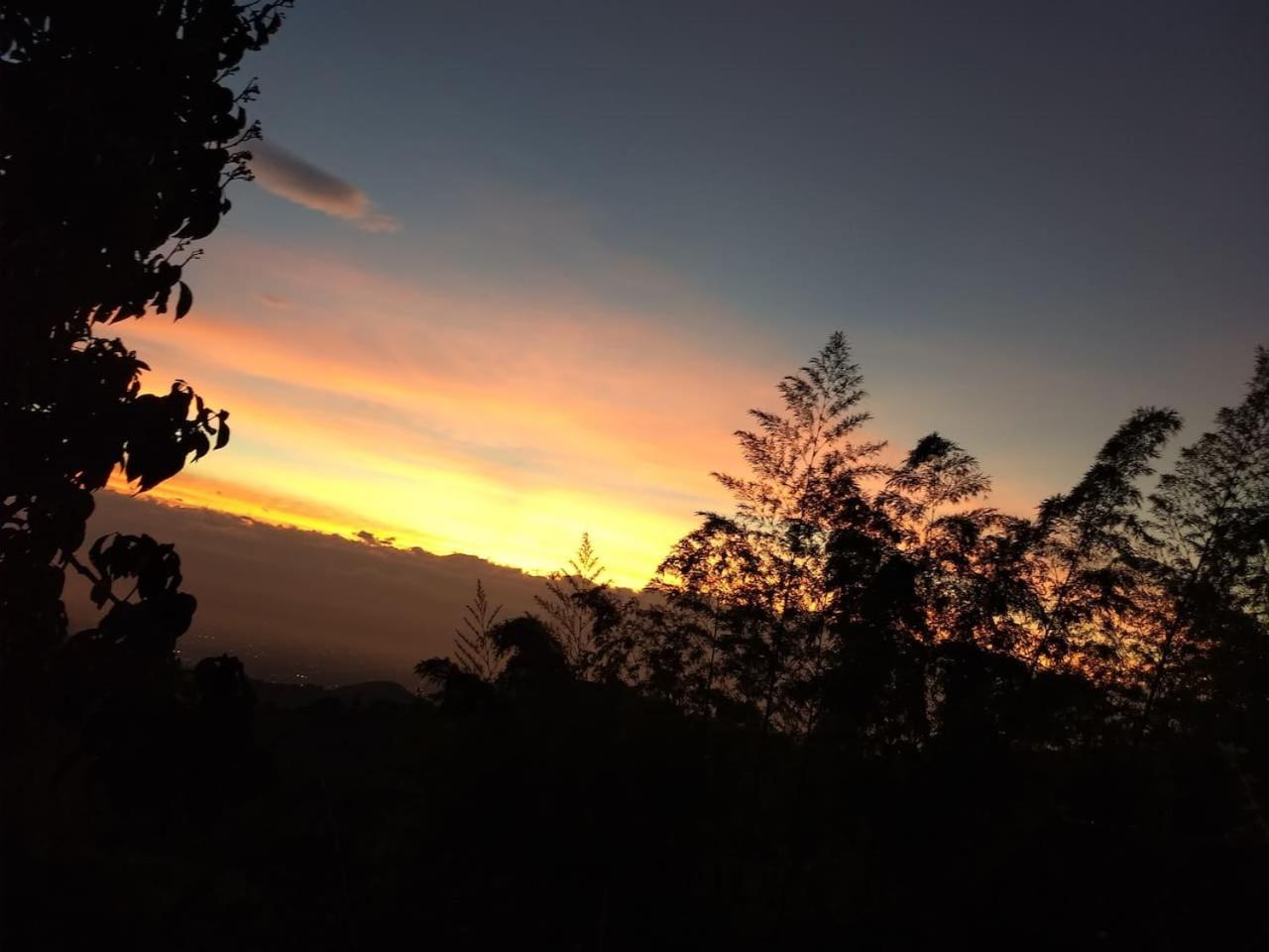 Finca Colibrí Zafiro, Altos del Rosario