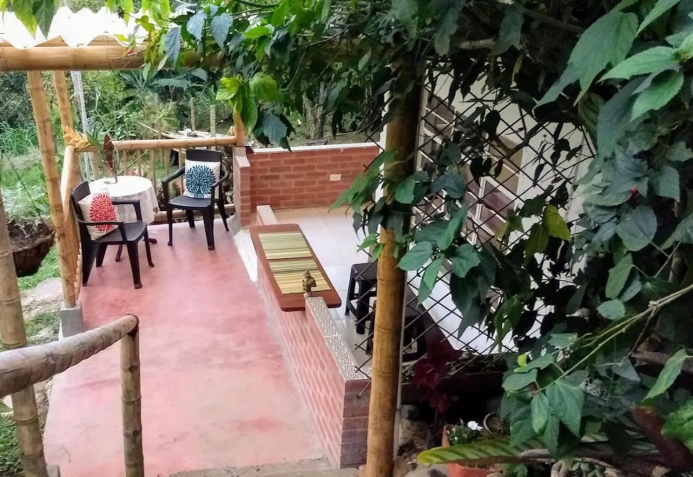 Finca Colibrí Zafiro, Altos del Rosario