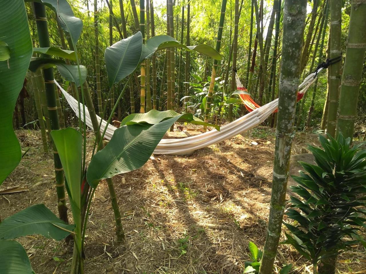 Finca Colibrí Zafiro, Altos del Rosario