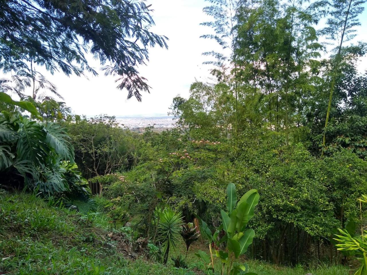 Finca Colibrí Zafiro, Altos del Rosario