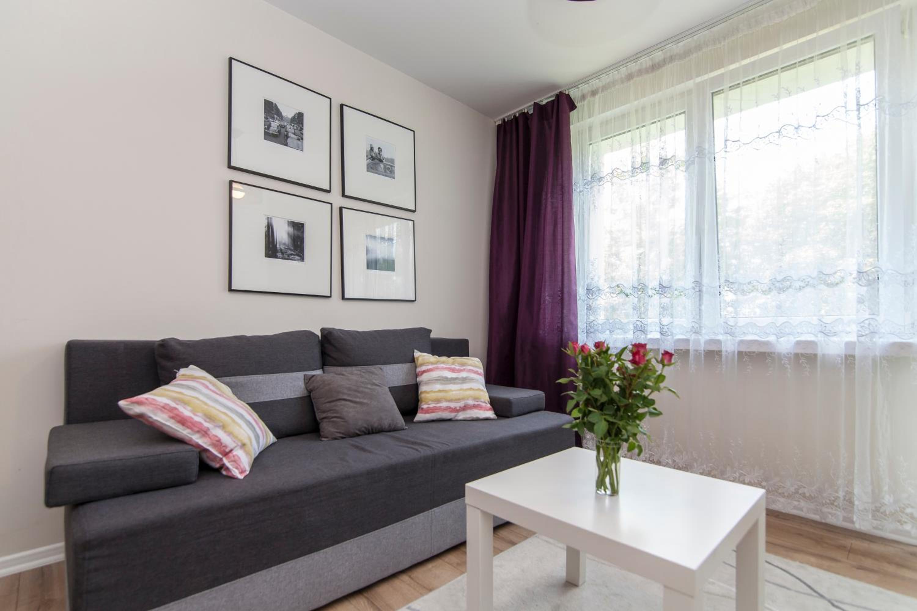 Apartament 24 ul.Proletariacka 2A centrum view 5