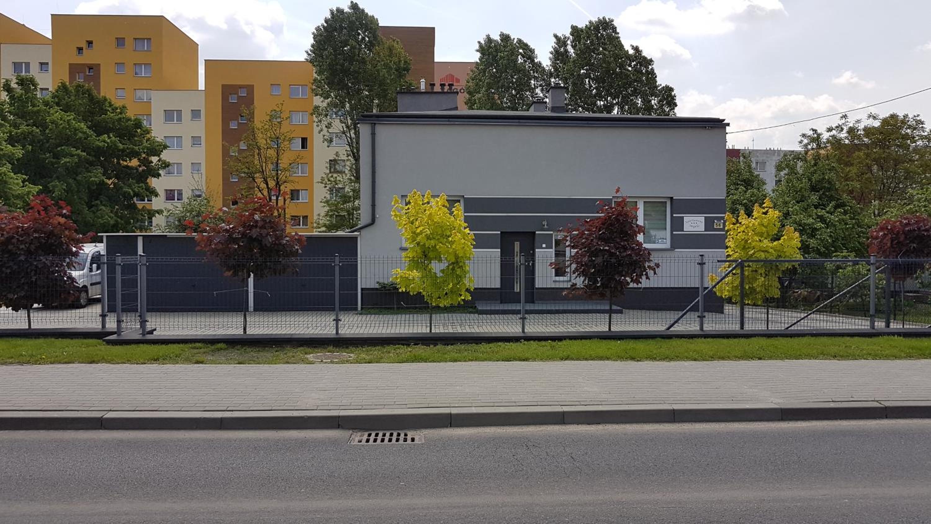 Photo 6